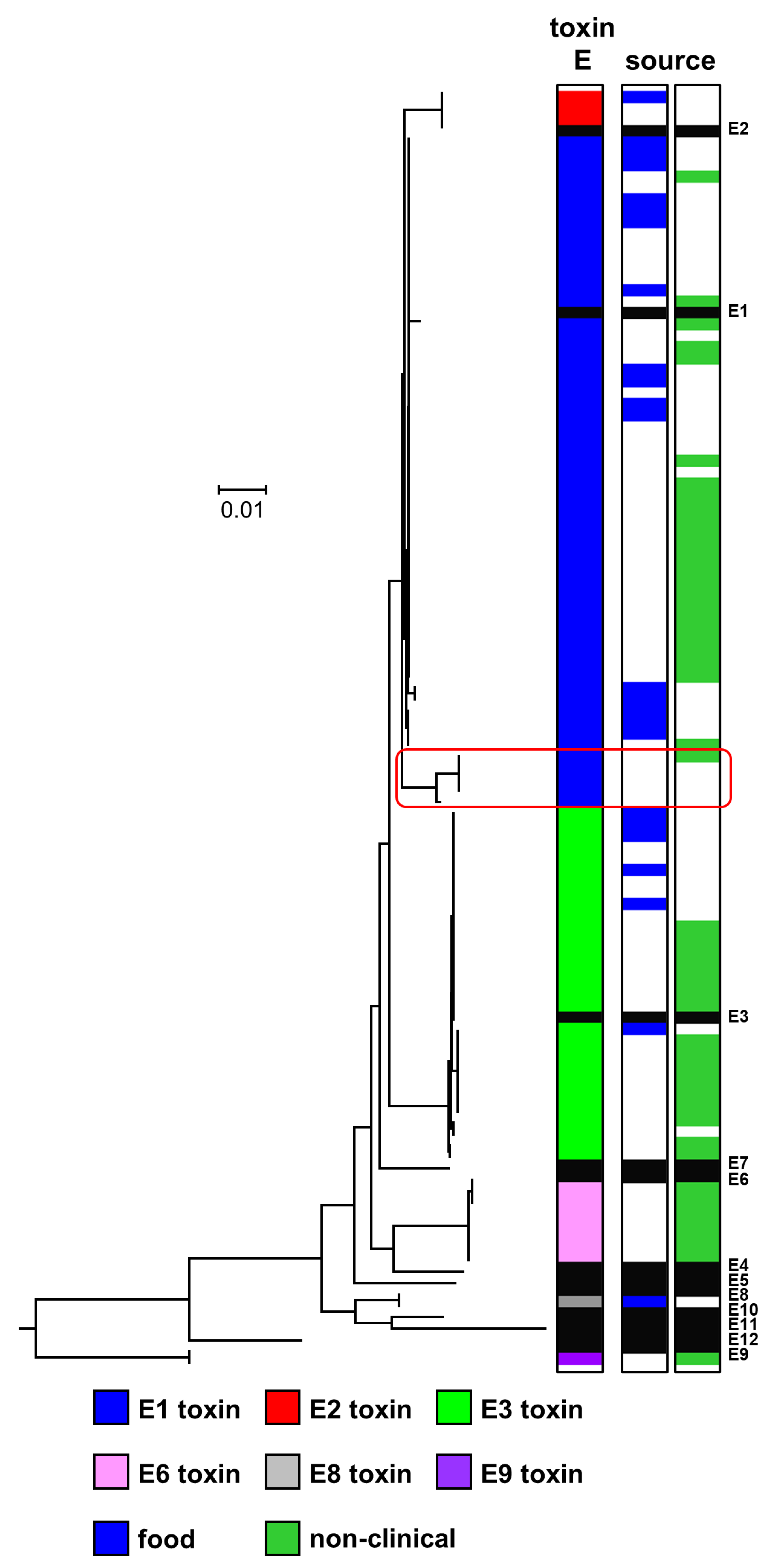 botulinum toxin 12