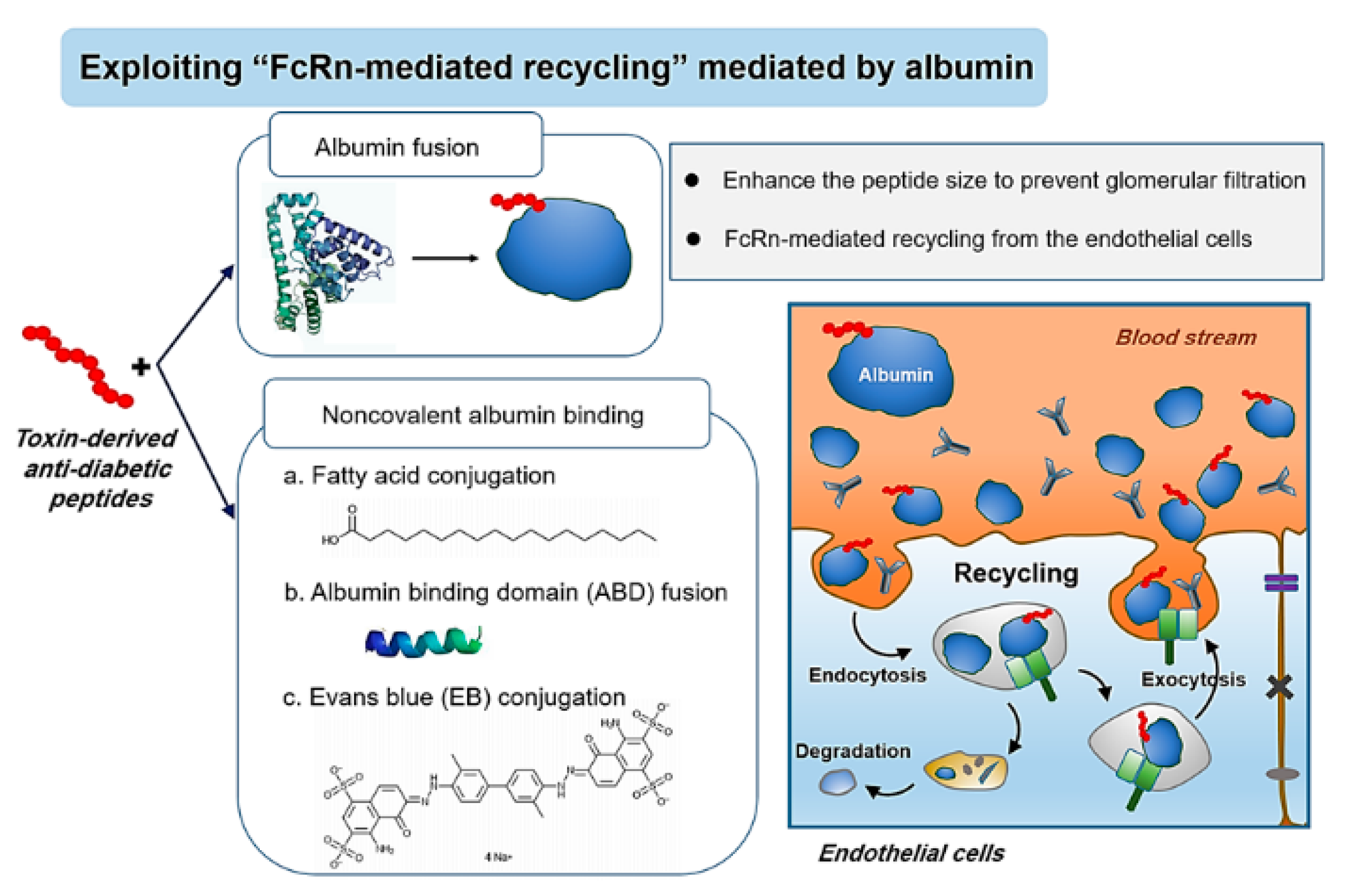 Toxins 12 00313 g002