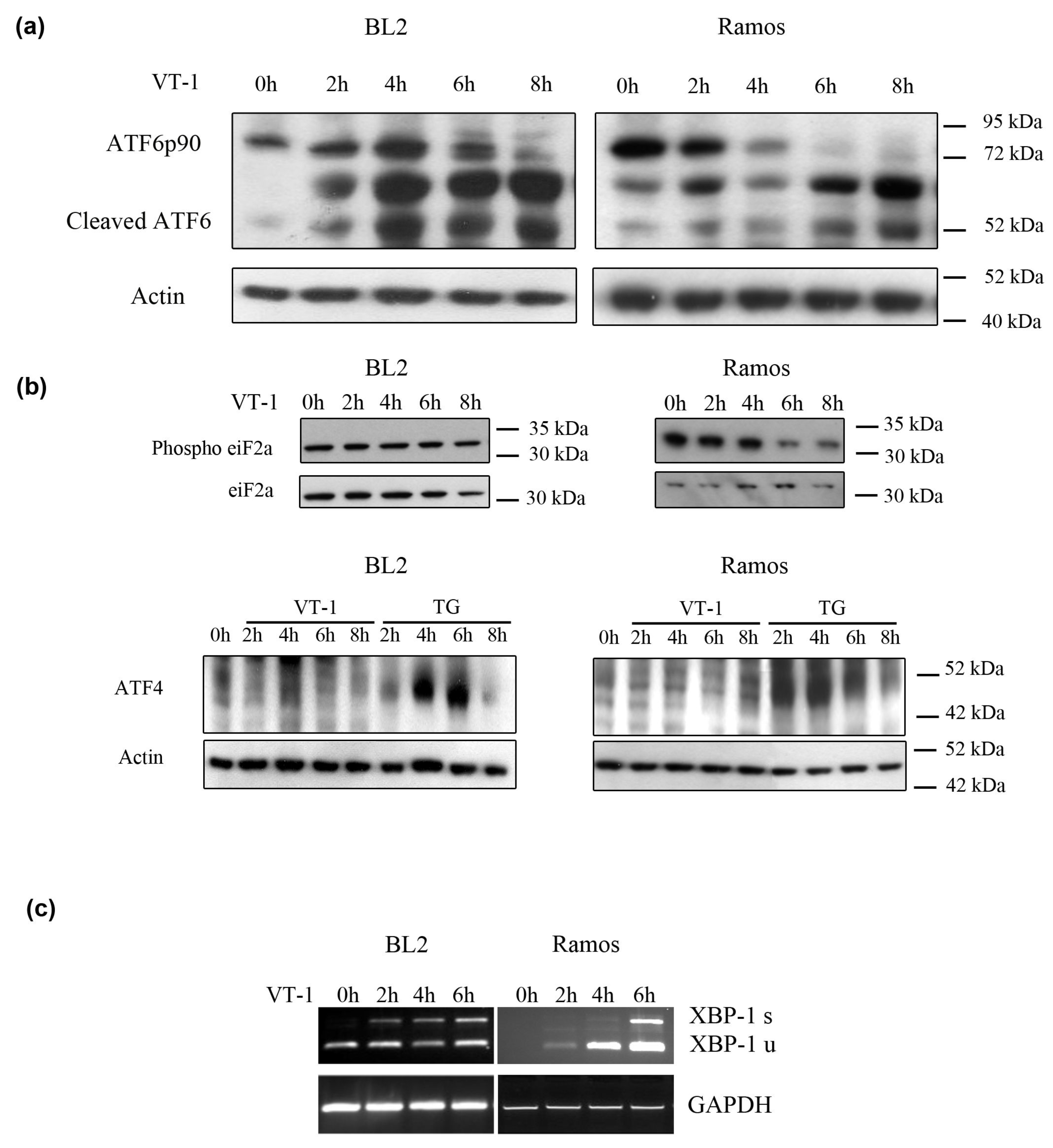 Toxins 12 00316 g002