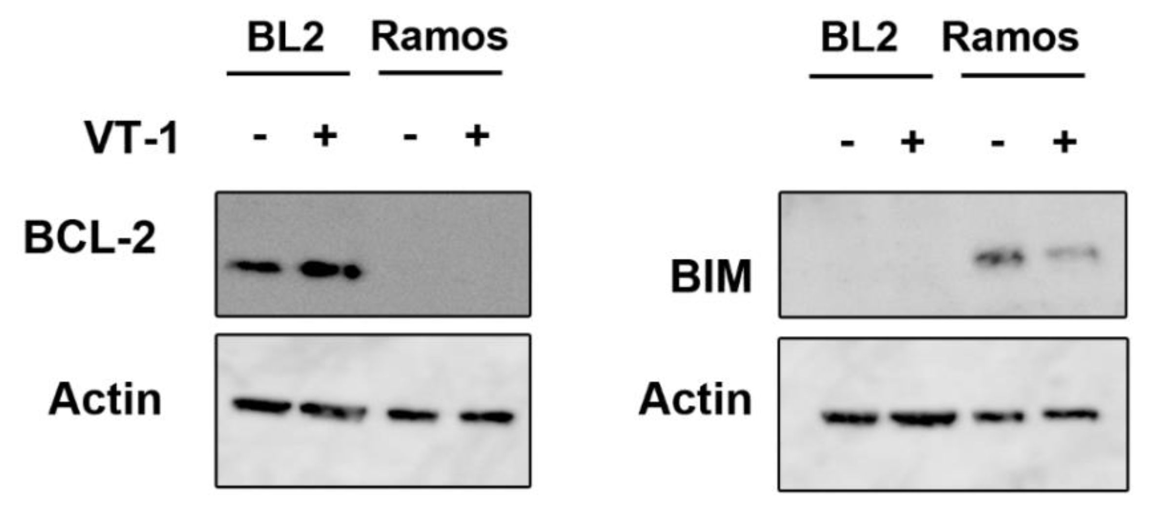 Toxins 12 00316 g005