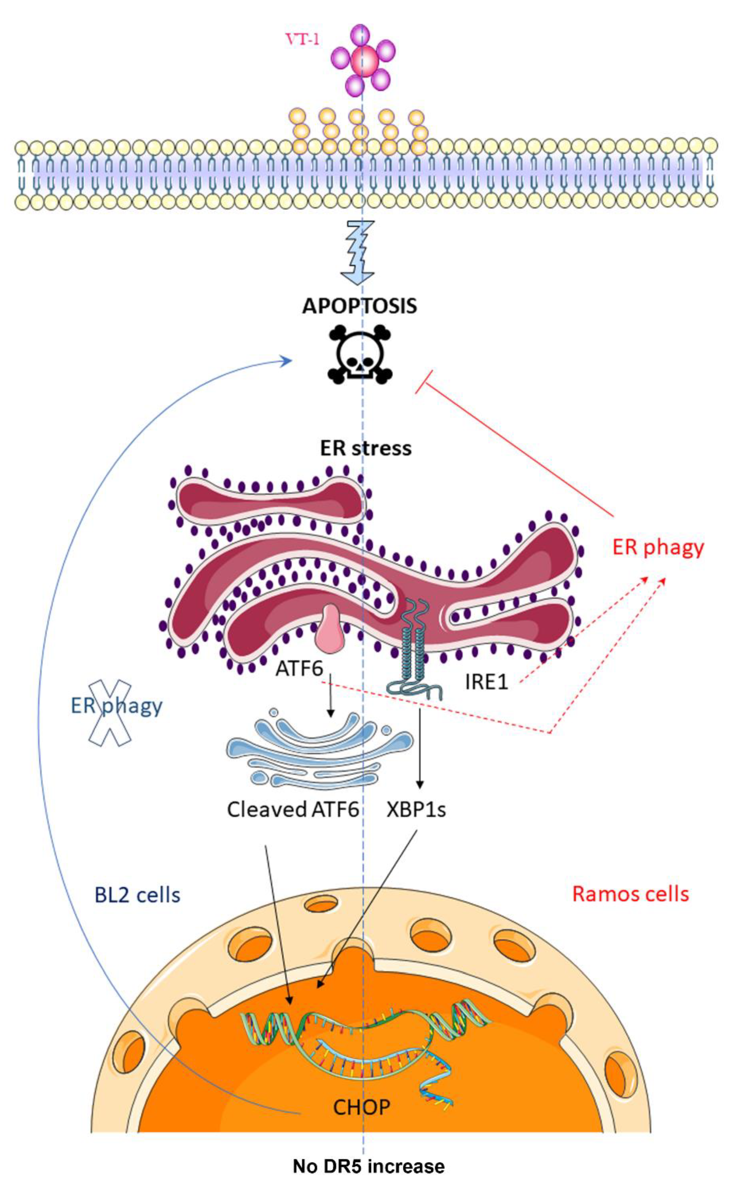 Toxins 12 00316 g008