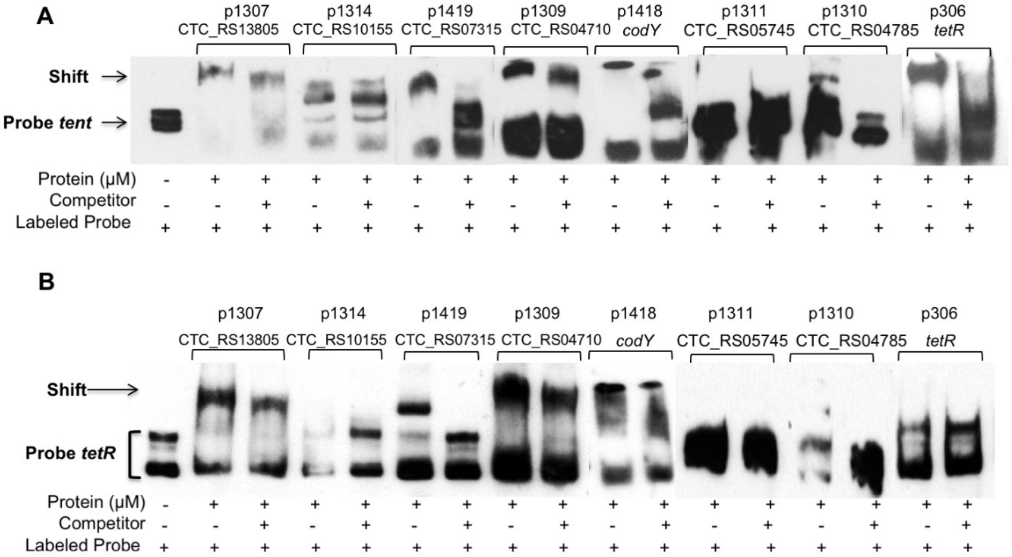 Toxins 12 00328 g005 Toxins 12 00328 g005