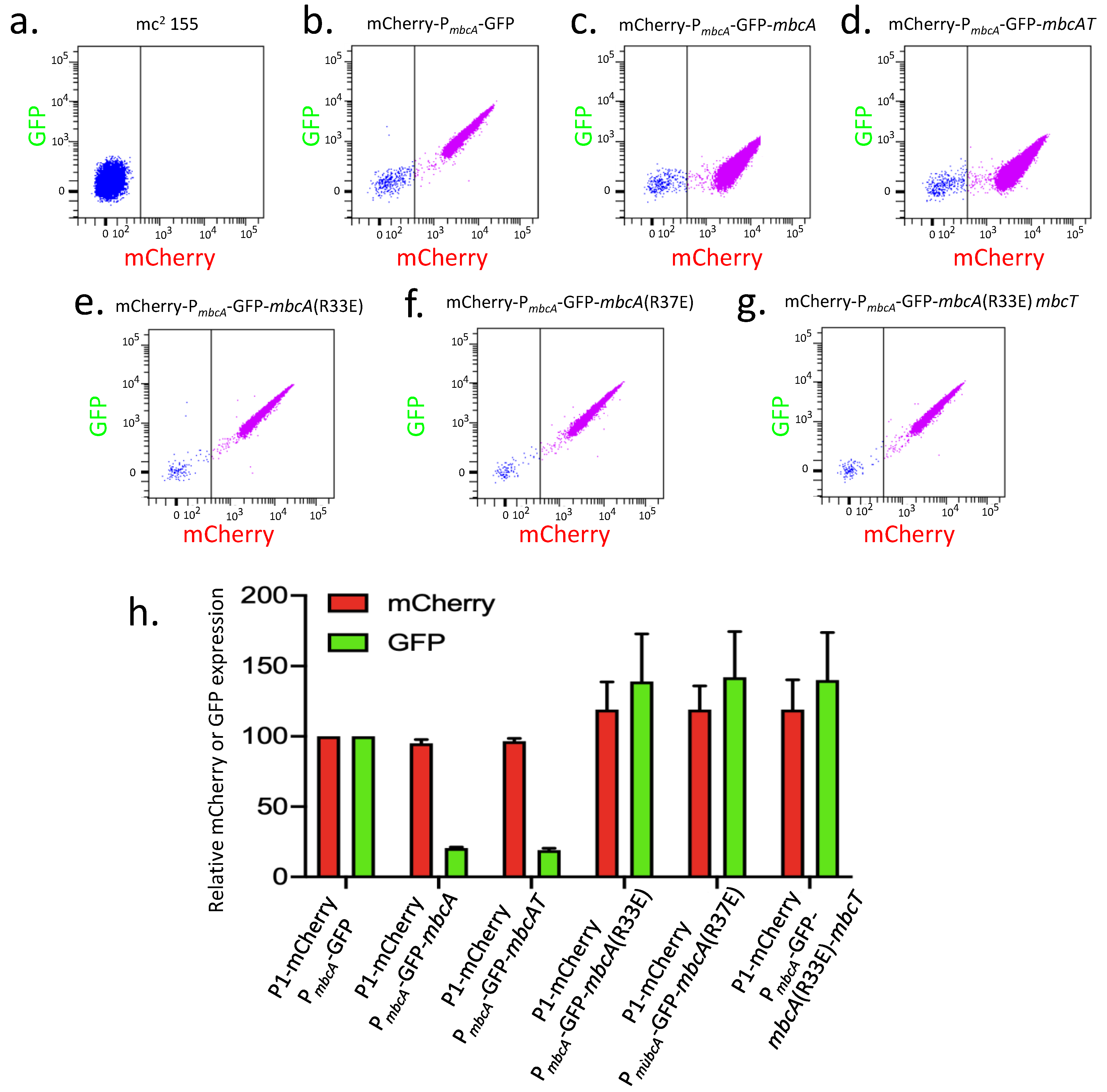 Toxins 12 00329 g003 Toxins 12 00329 g003