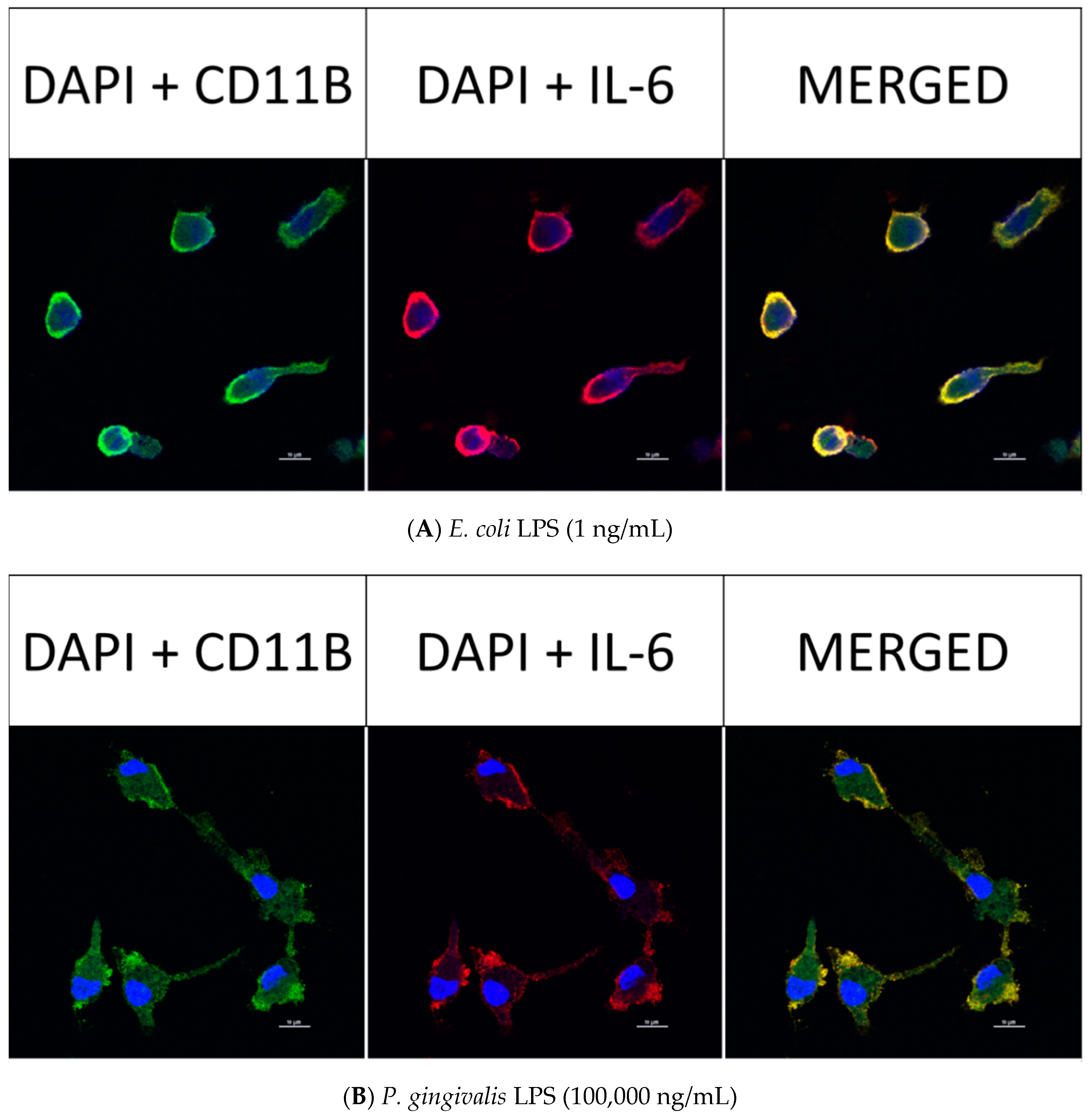 Toxins 12 00333 g006 Toxins 12 00333 g006