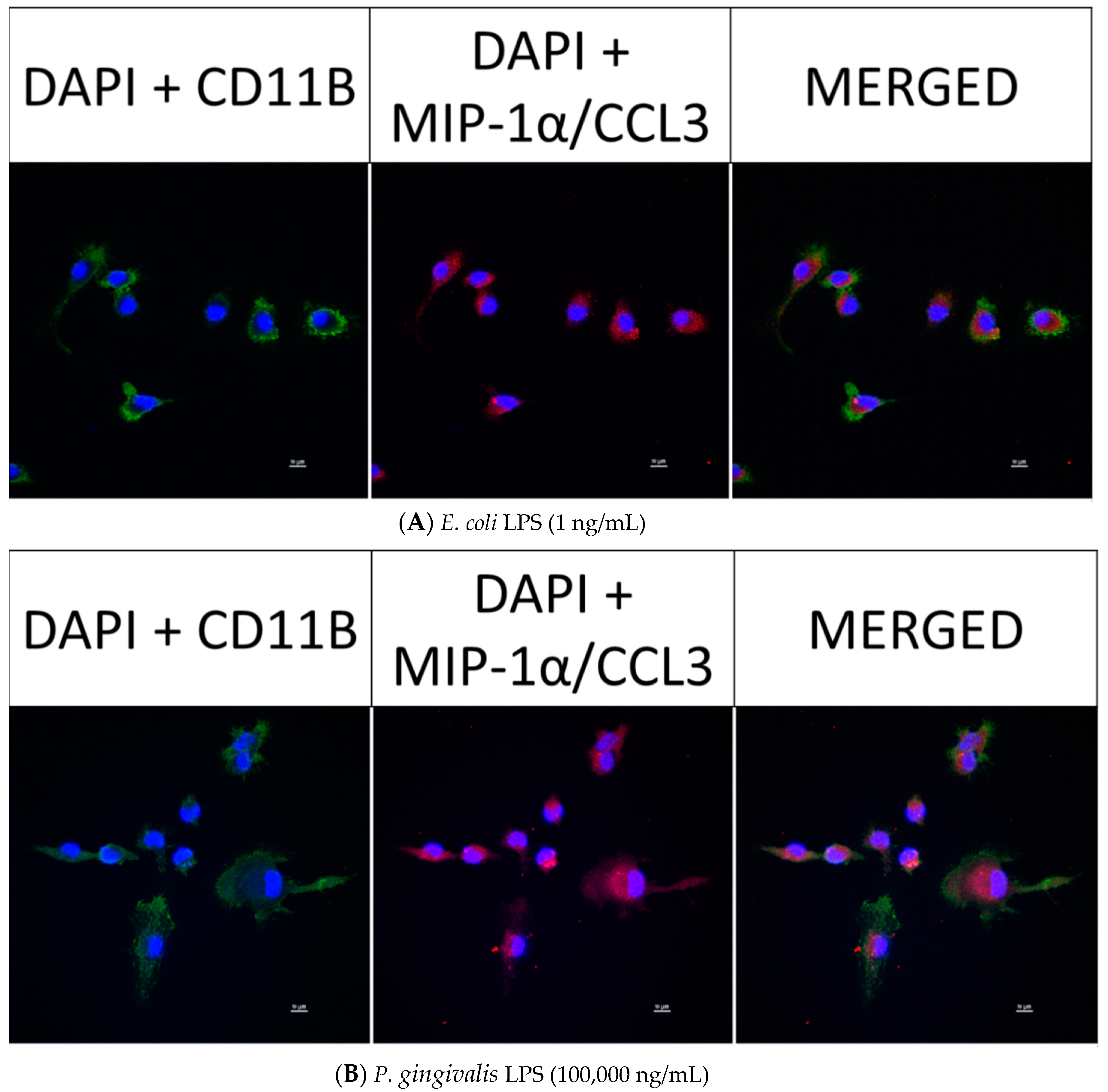 Toxins 12 00333 g007 Toxins 12 00333 g007