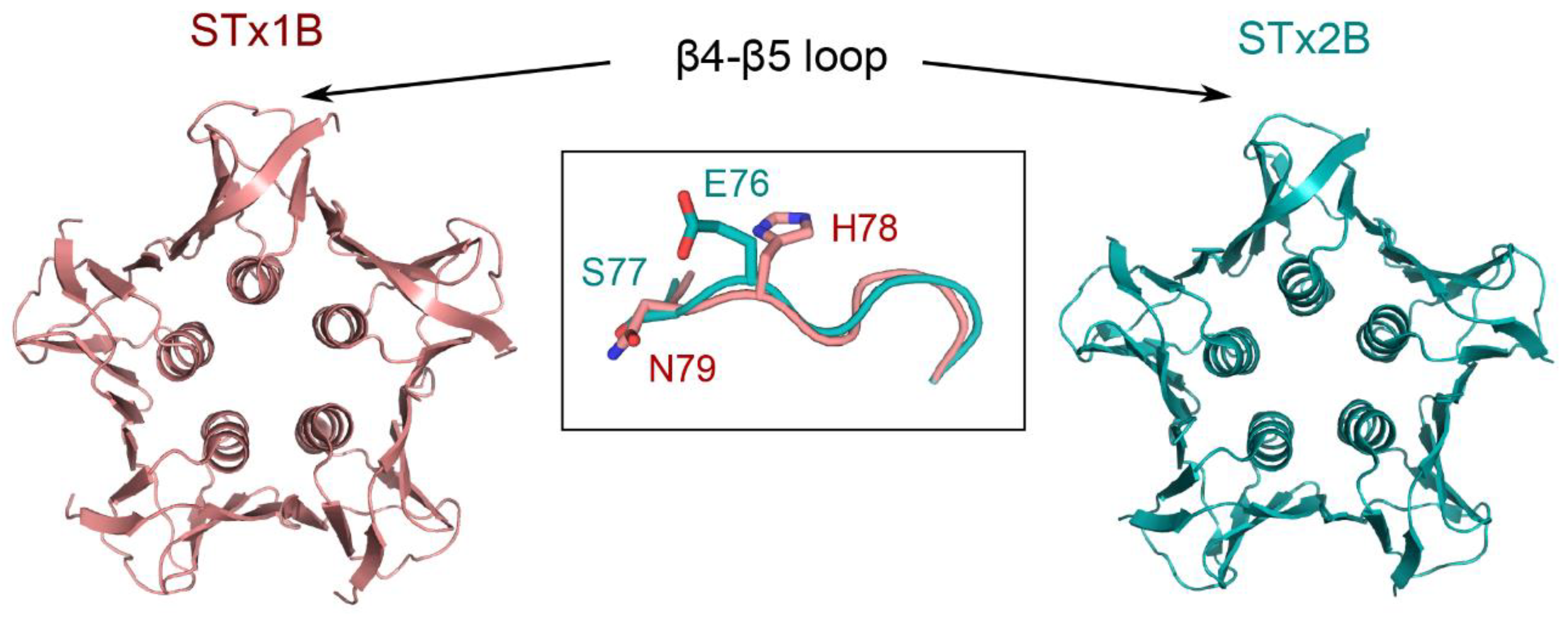 Toxins 12 00342 g003