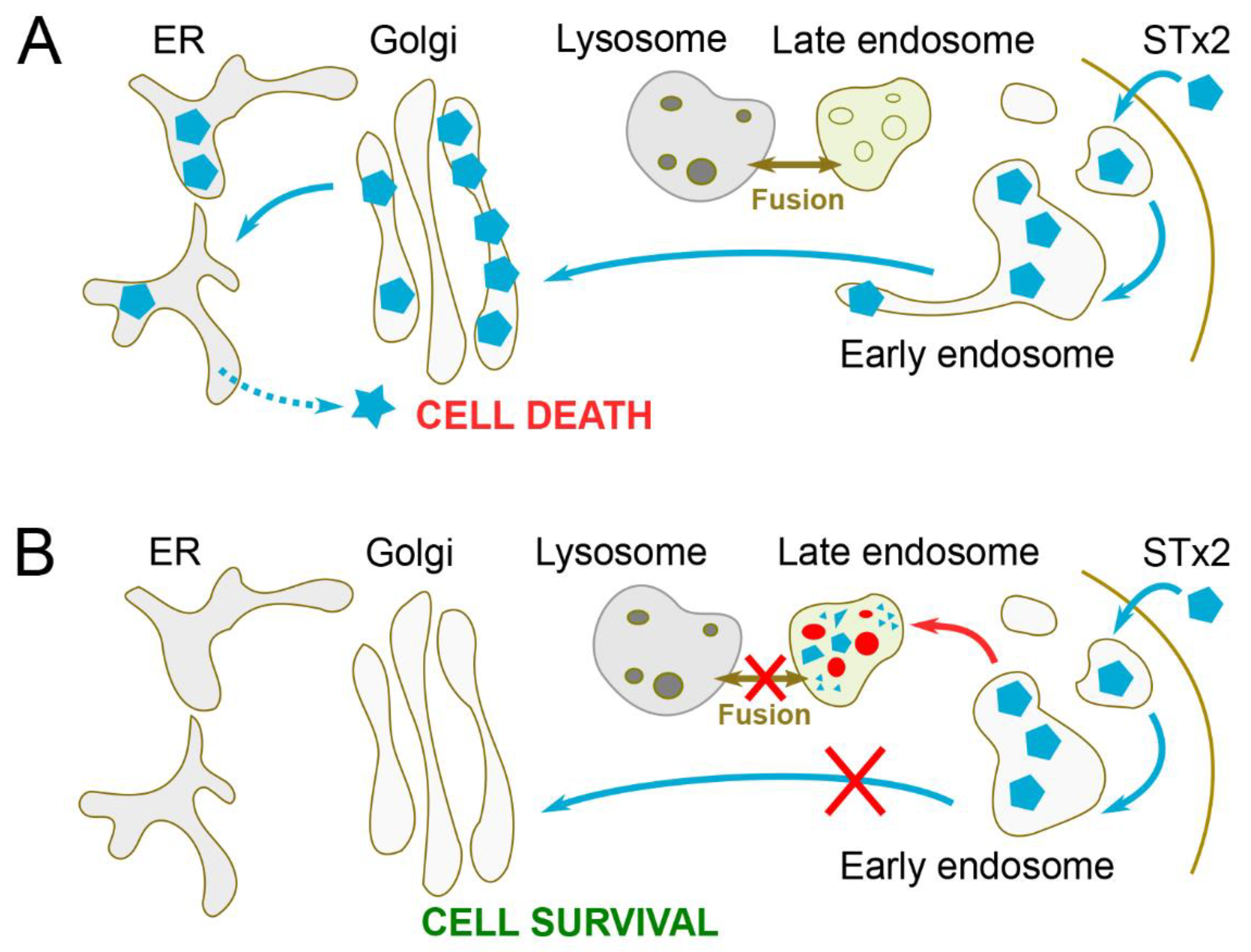 Toxins 12 00342 g004
