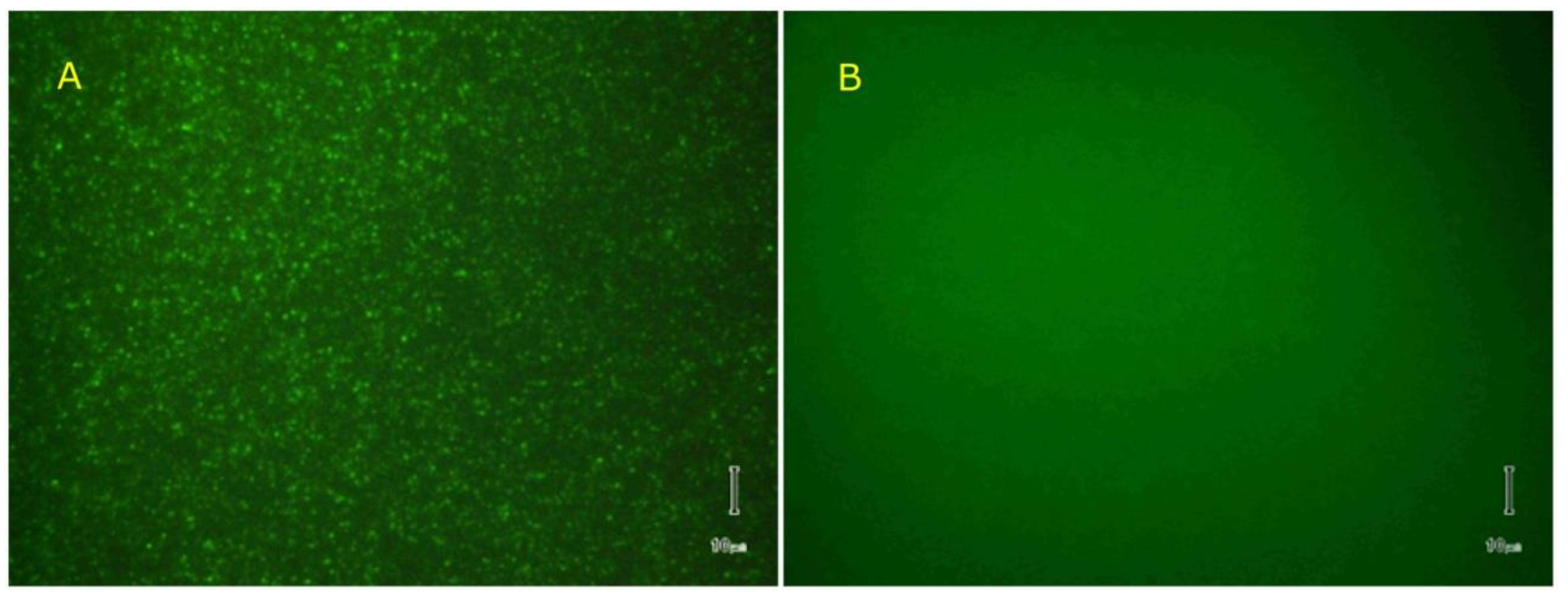 Toxins 12 00343 g011 Toxins 12 00343 g011
