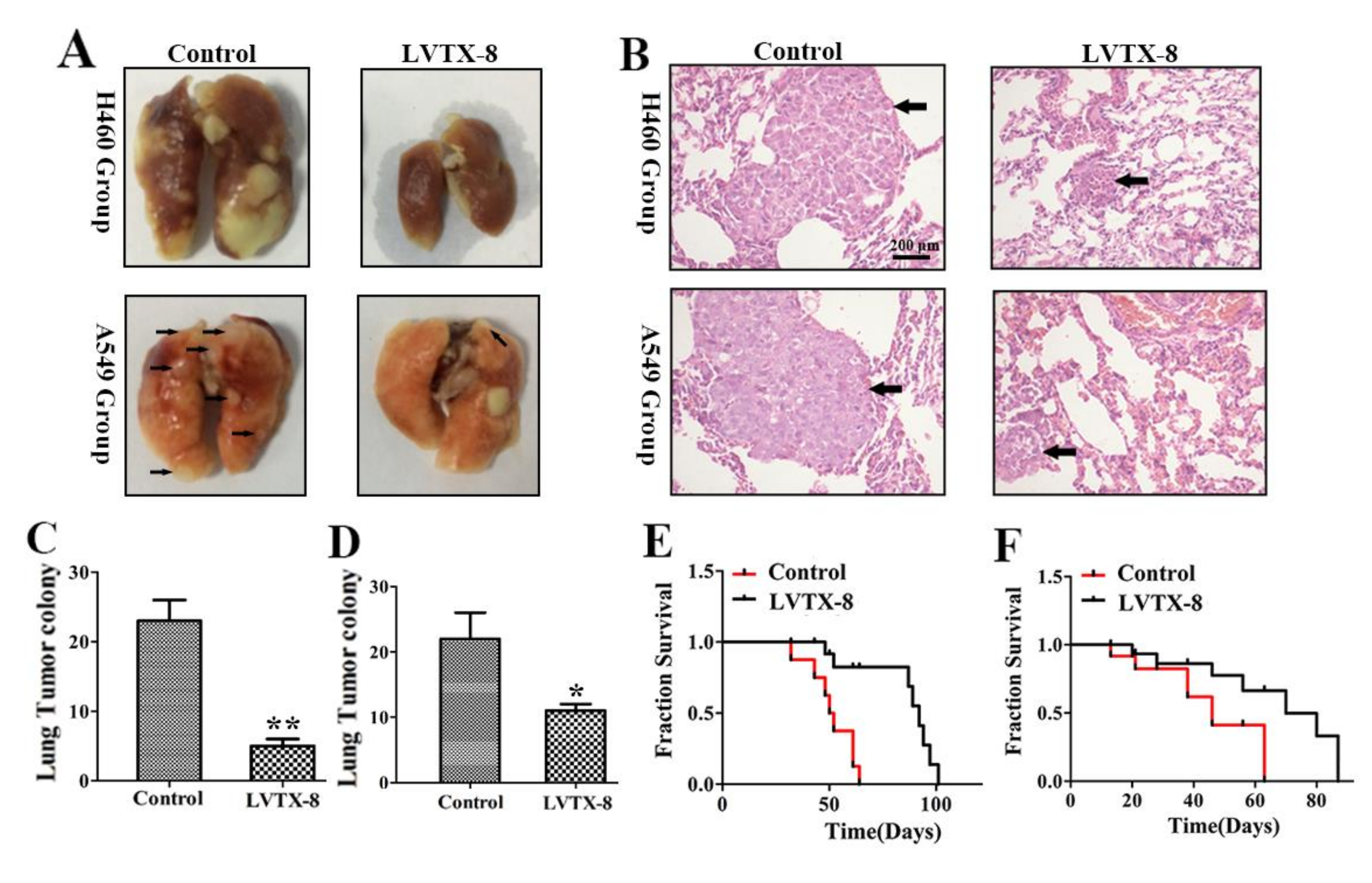 Toxins 12 00367 g005