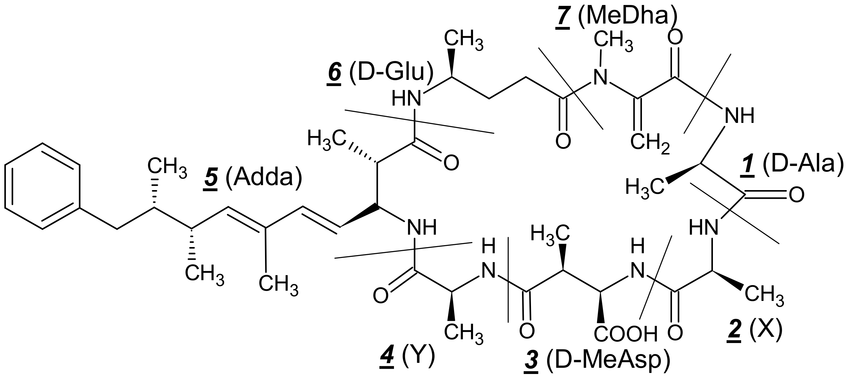 Toxins 12 00368 g002 Toxins 12 00368 g002