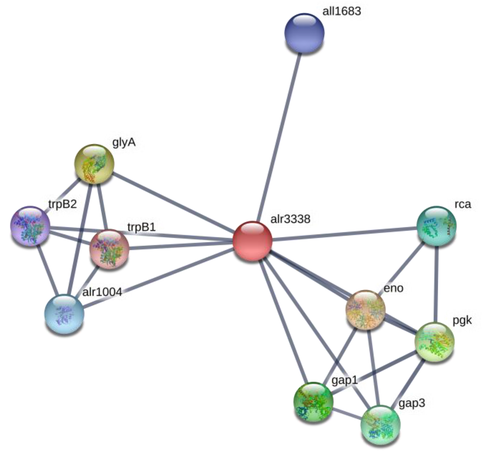 Toxins 12 00372 g004 Toxins 12 00372 g004