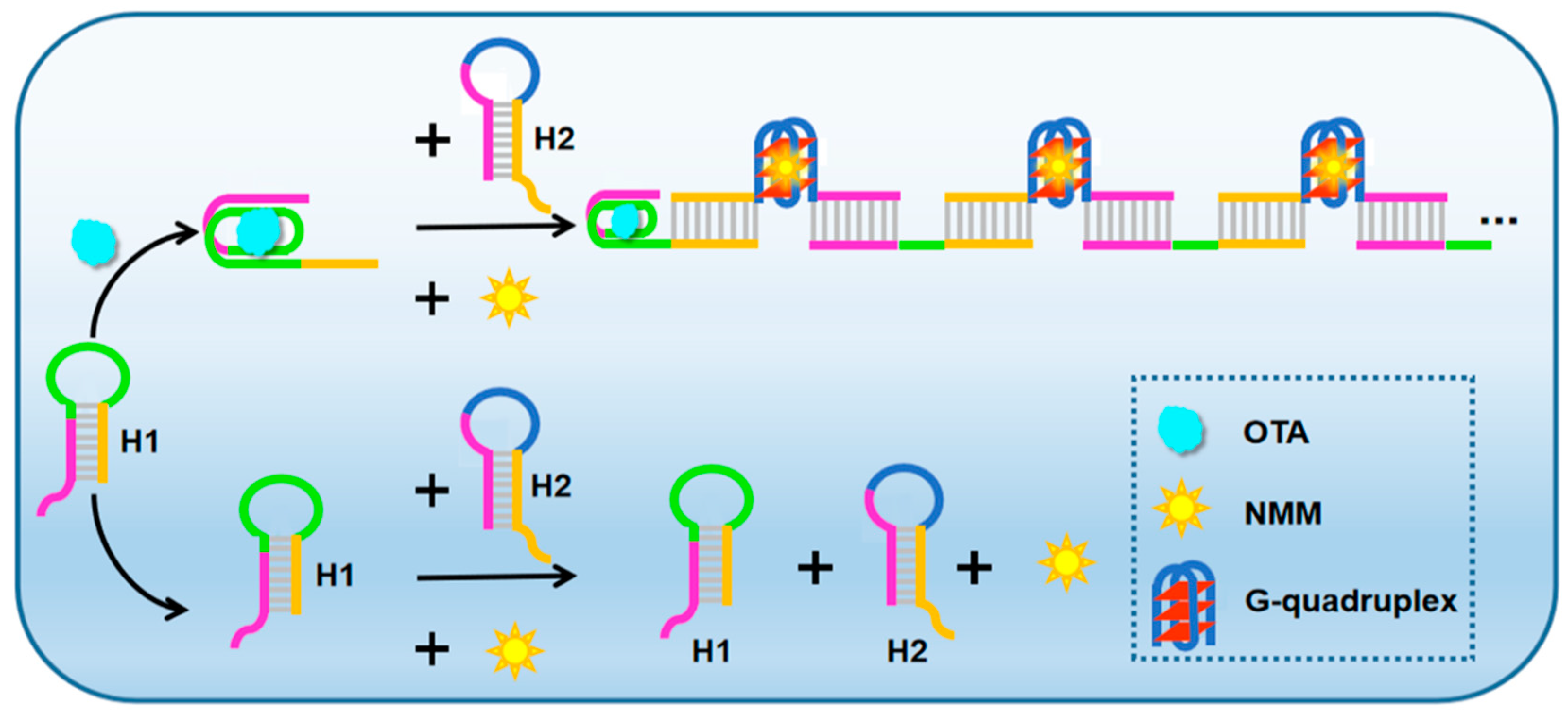 Reaction kinetics for the reaction of 1e/c with NMM (A) HPLC stack