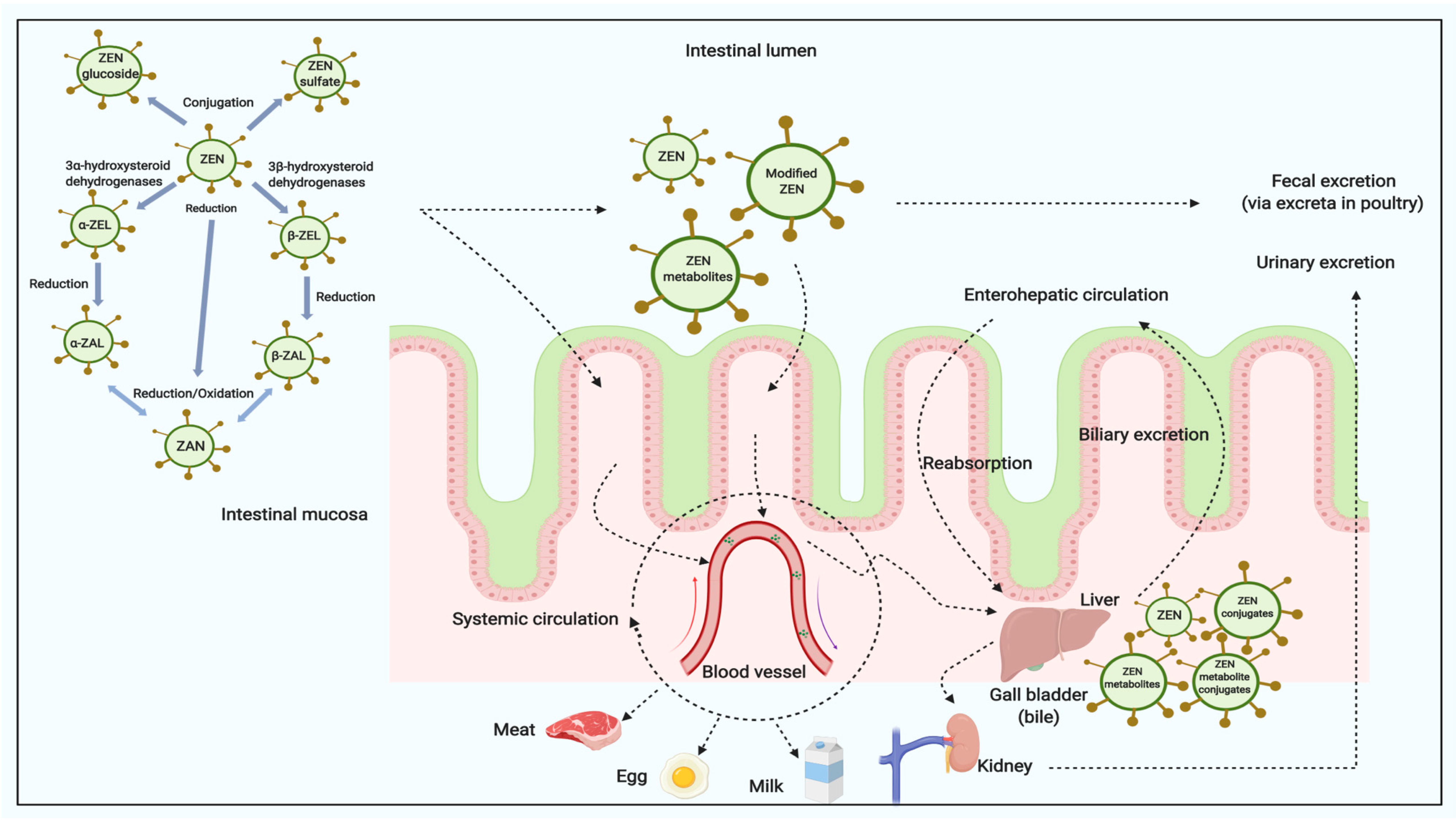Toxins 12 00377 g003