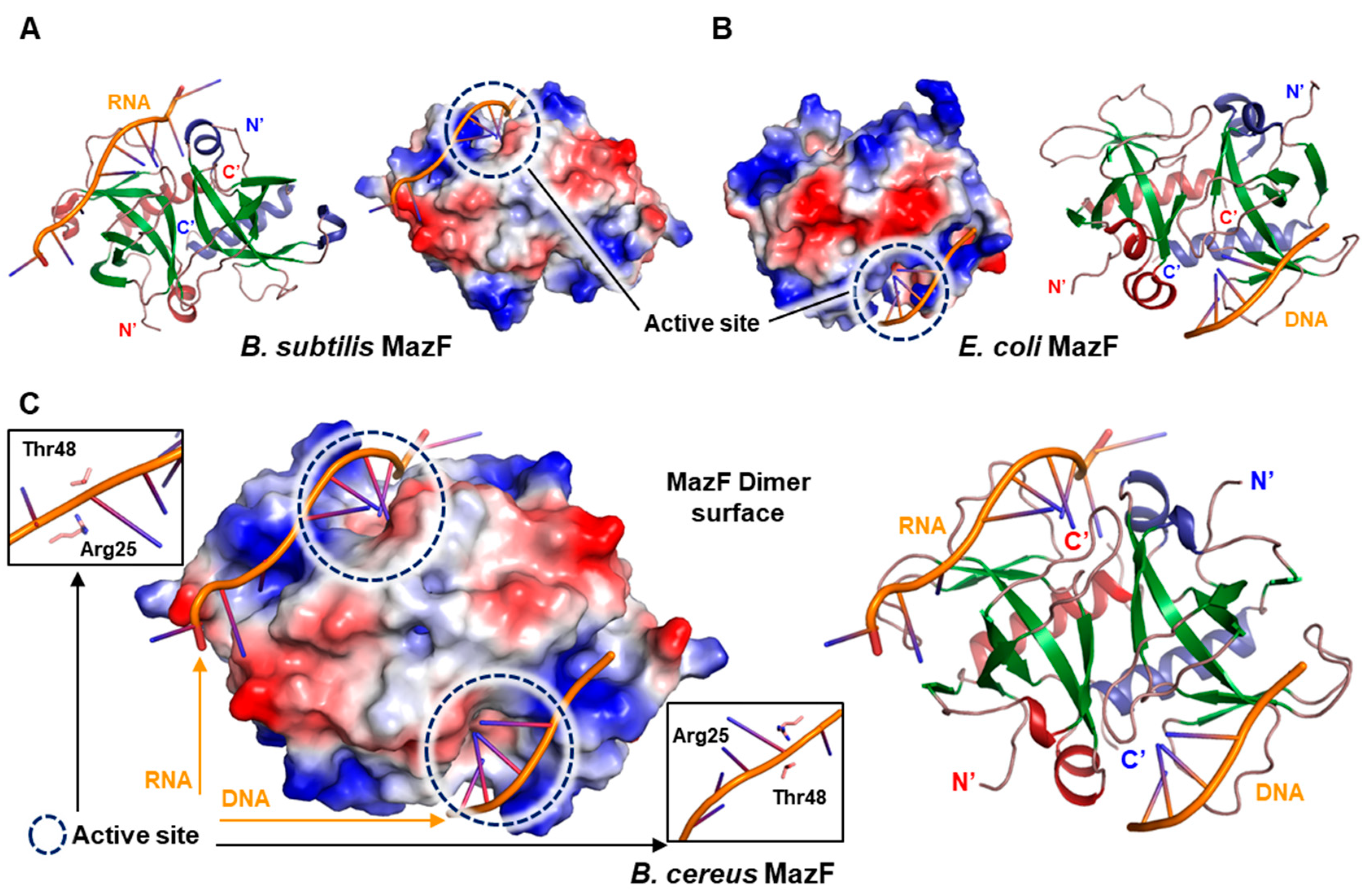 Toxins 12 00380 g003 Toxins 12 00380 g003