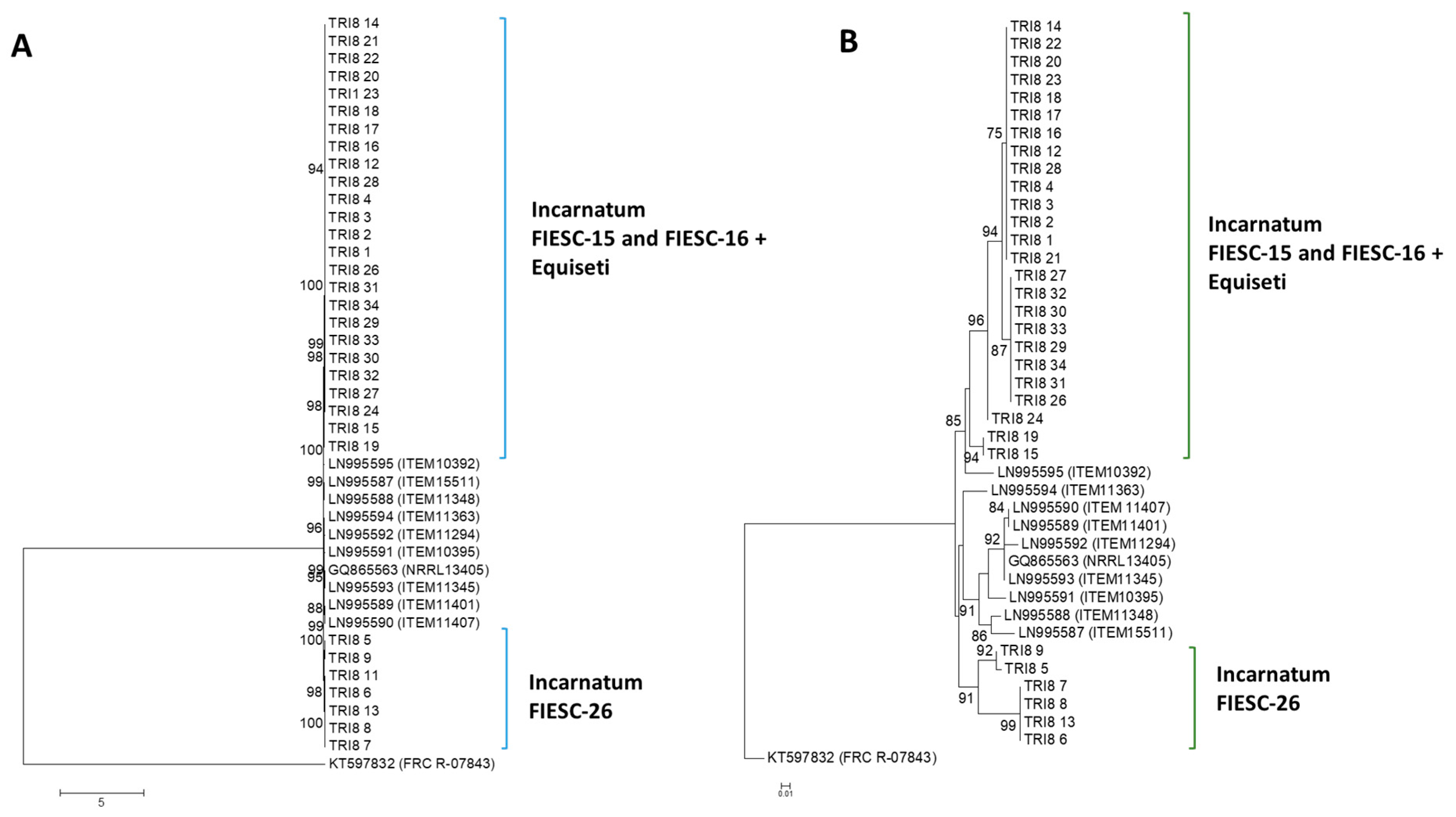 Toxins 12 00386 g002