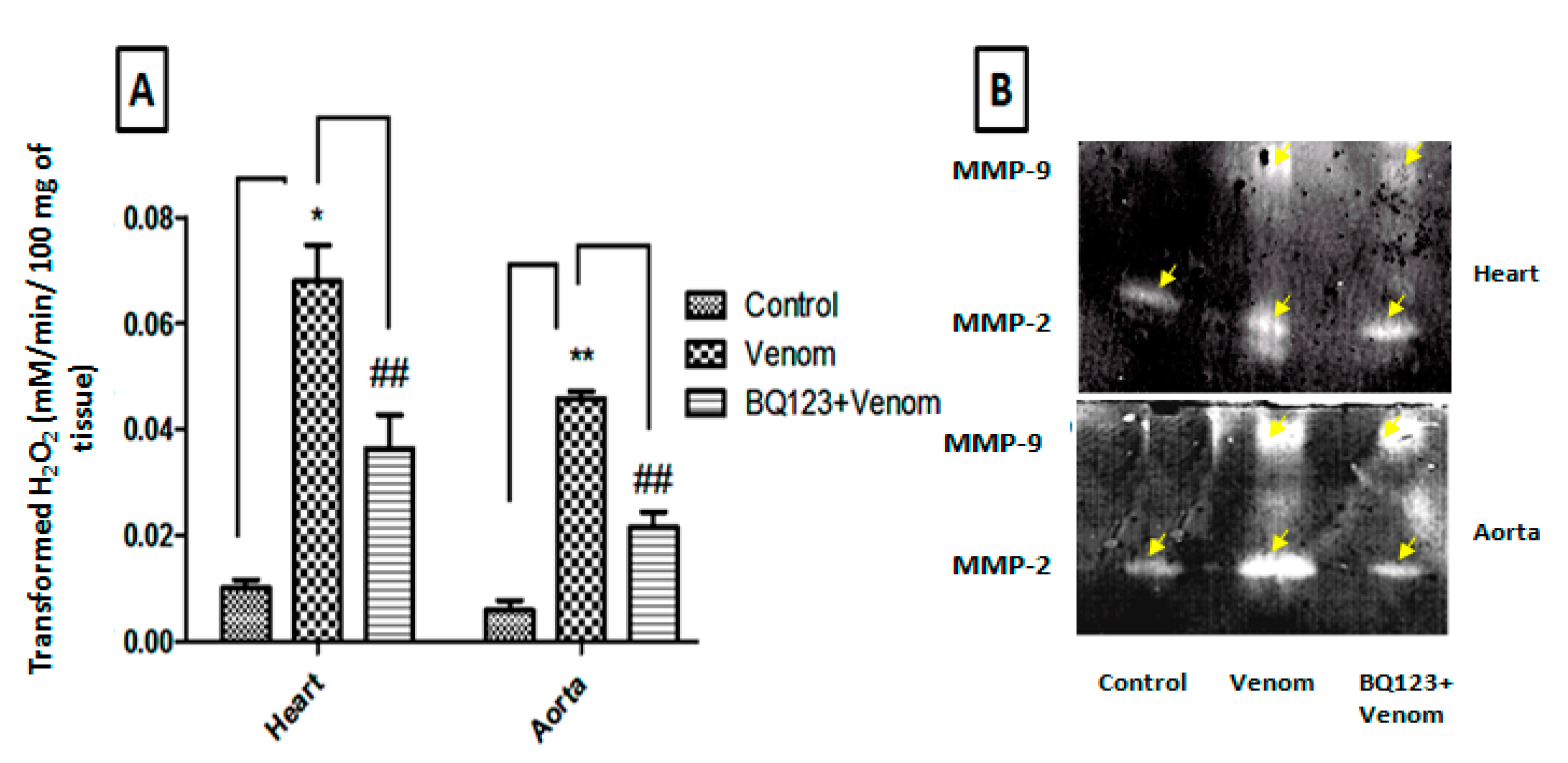 Toxins 12 00389 g002
