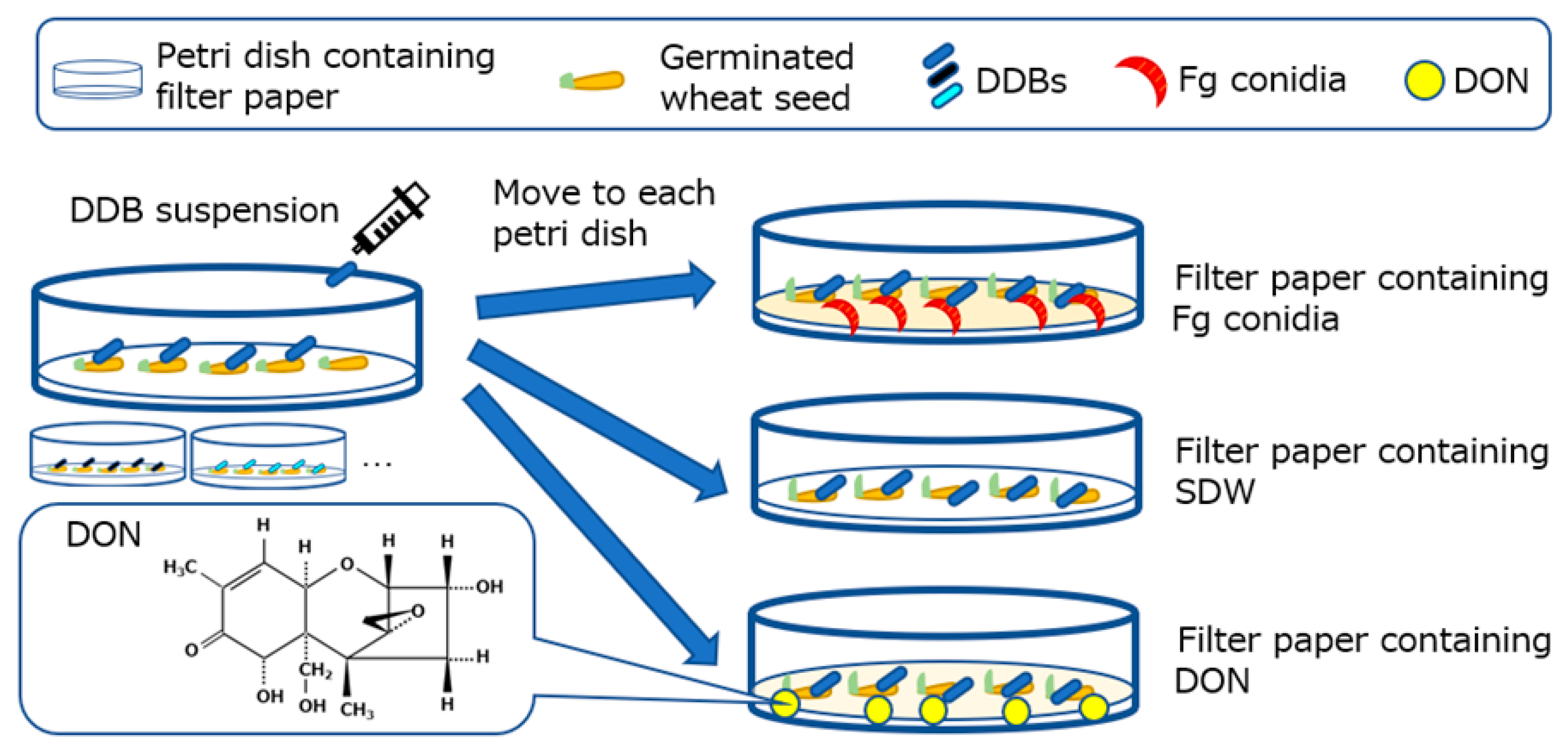 Toxins 12 00399 g001