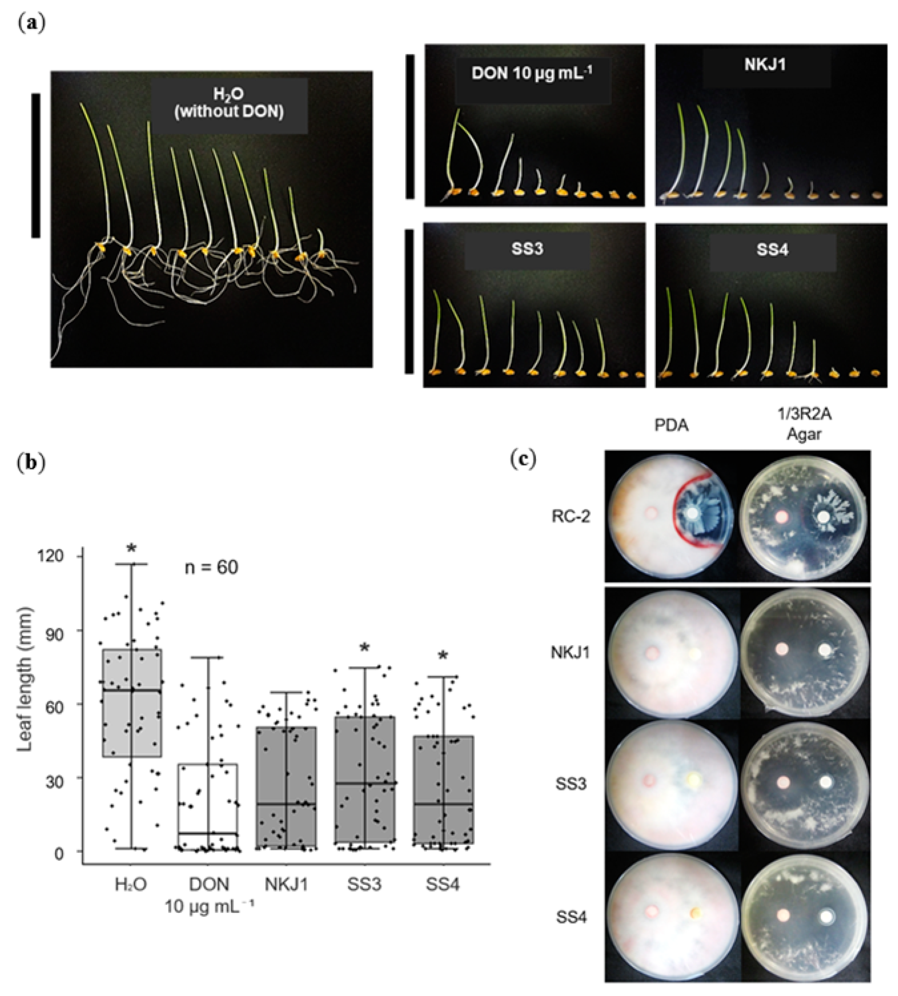 Toxins 12 00399 g004