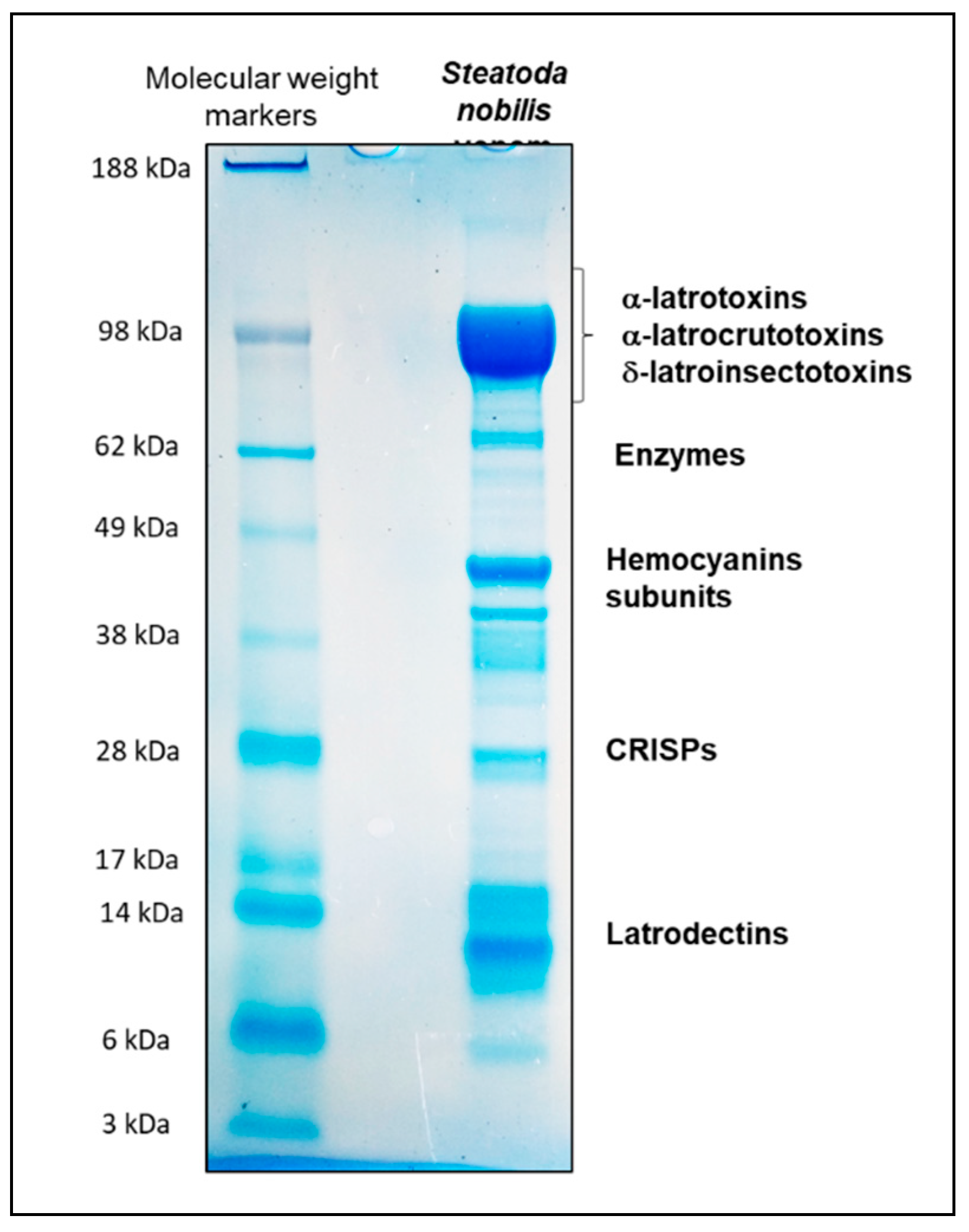 Toxins 12 00402 g006