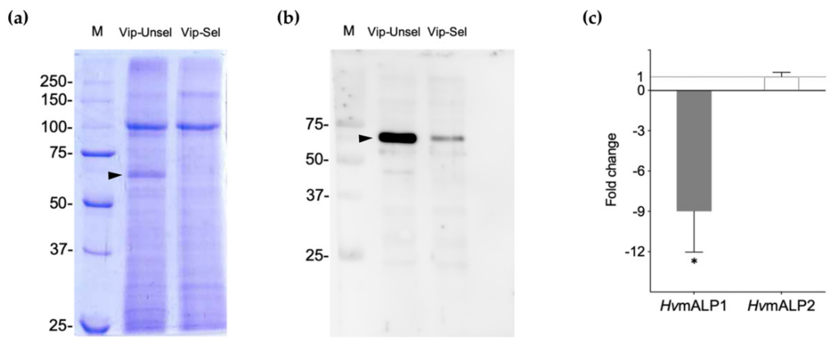 Toxins 12 00409 g003 Toxins 12 00409 g003