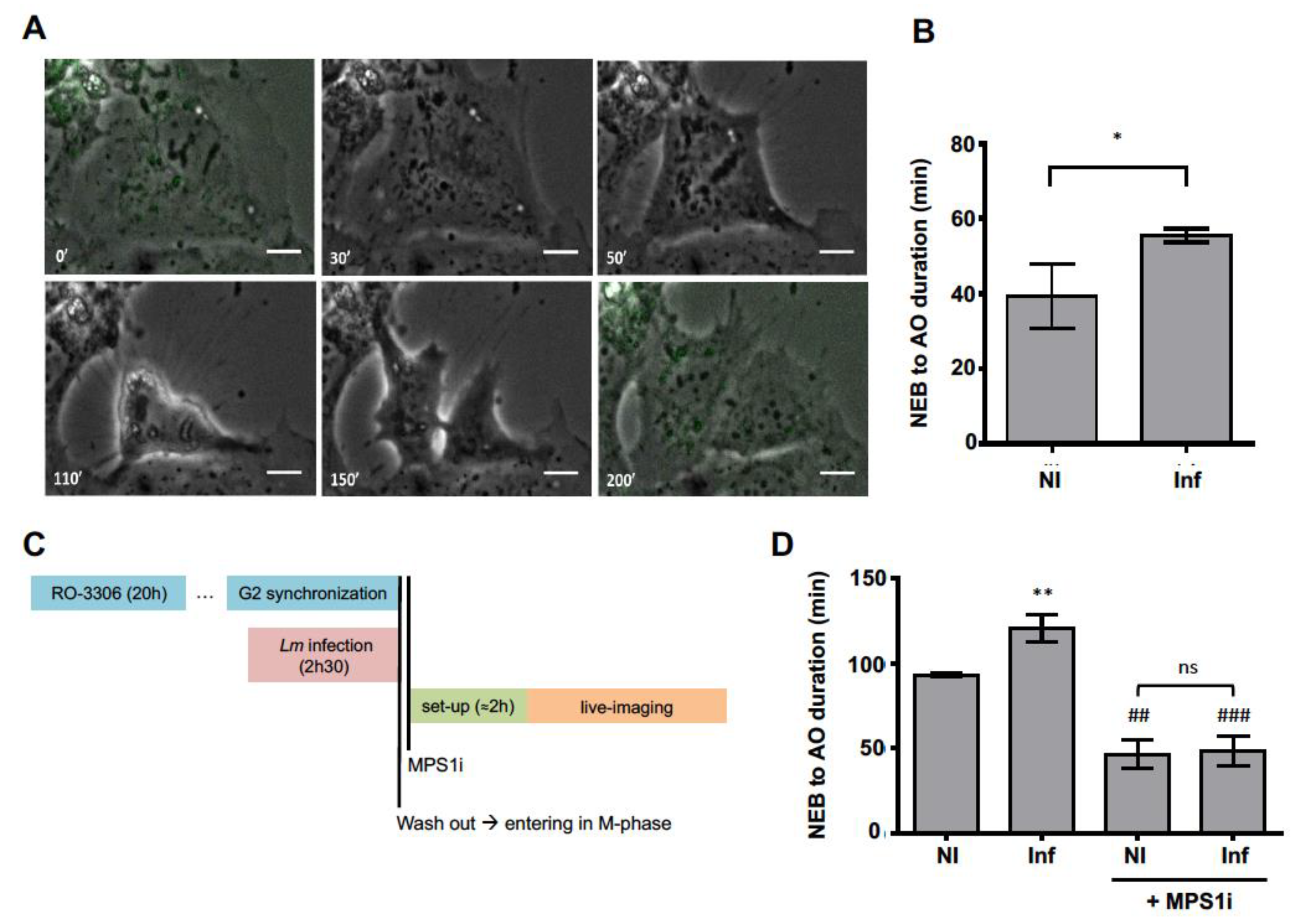 Toxins 12 00411 g002
