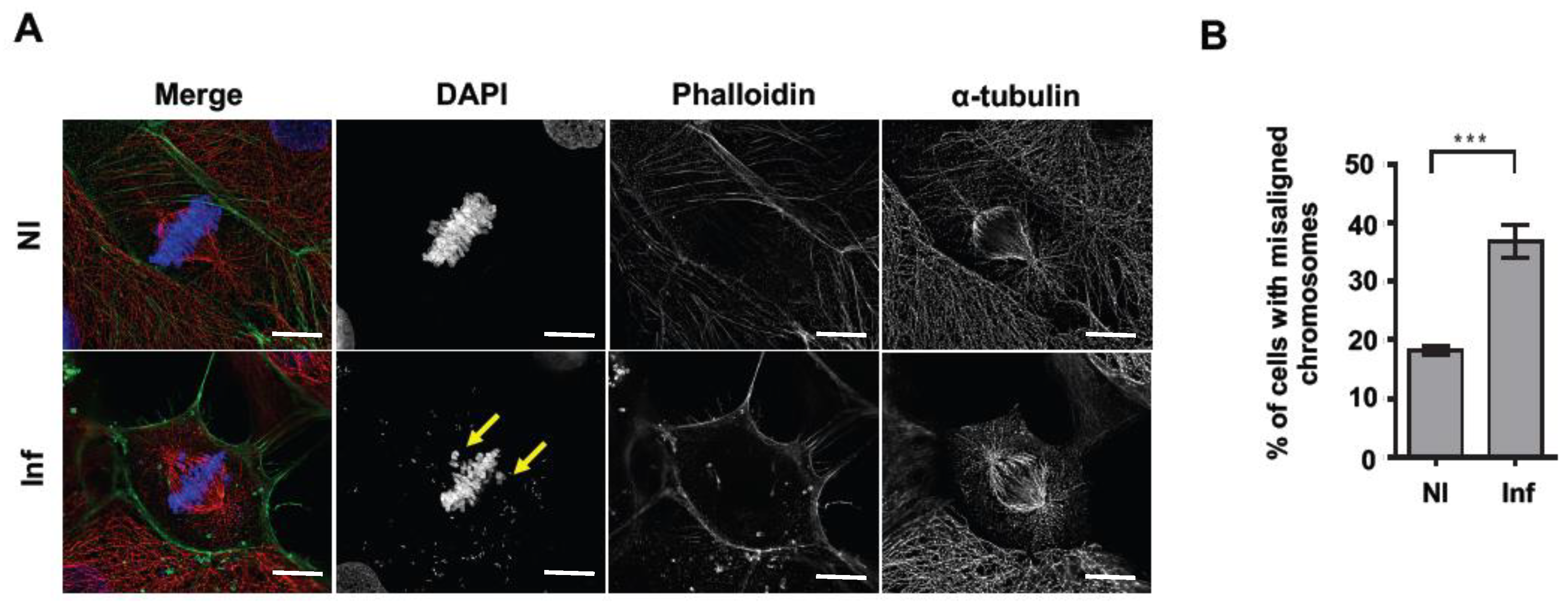 Toxins 12 00411 g004