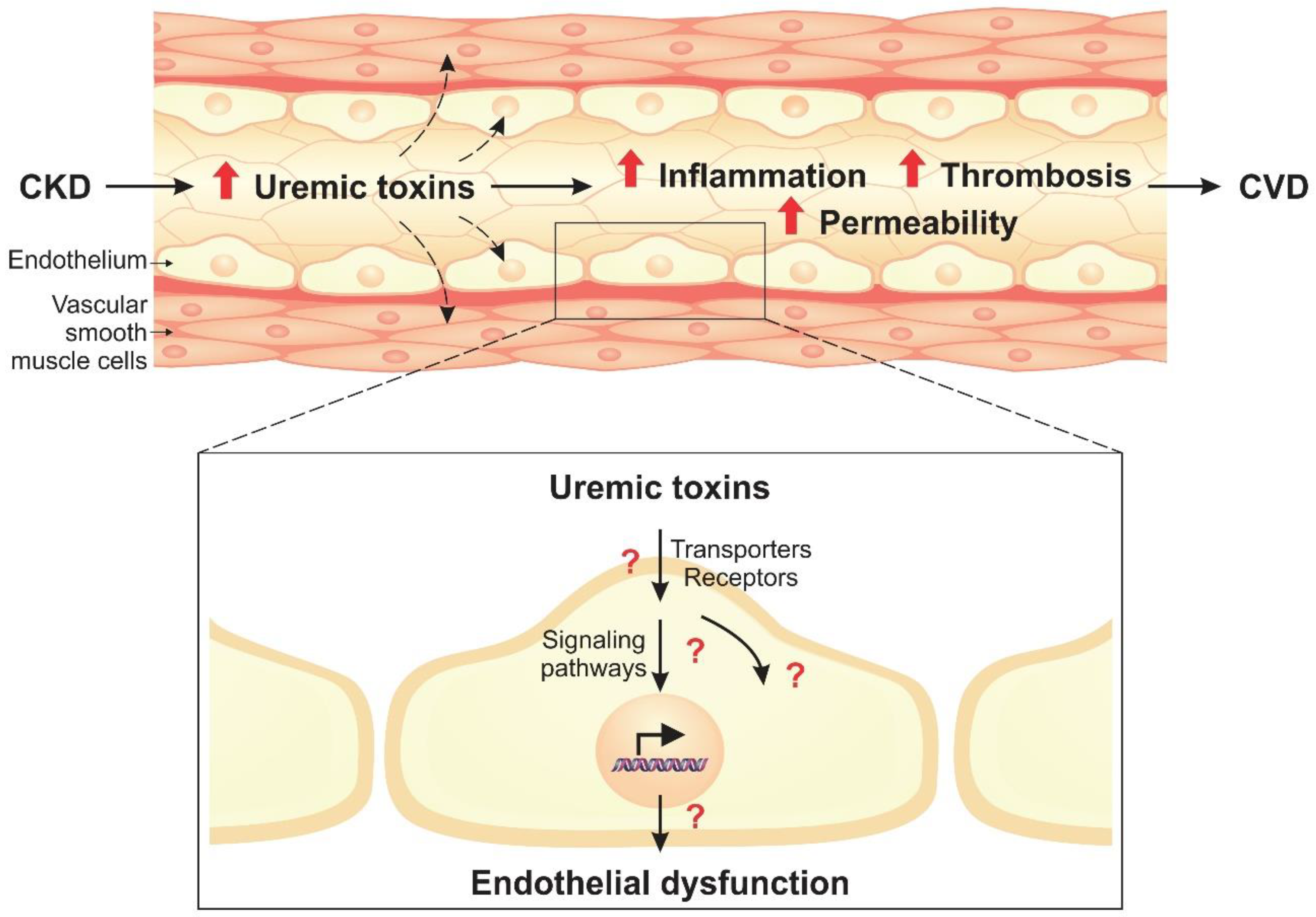Toxins 12 00412 g001