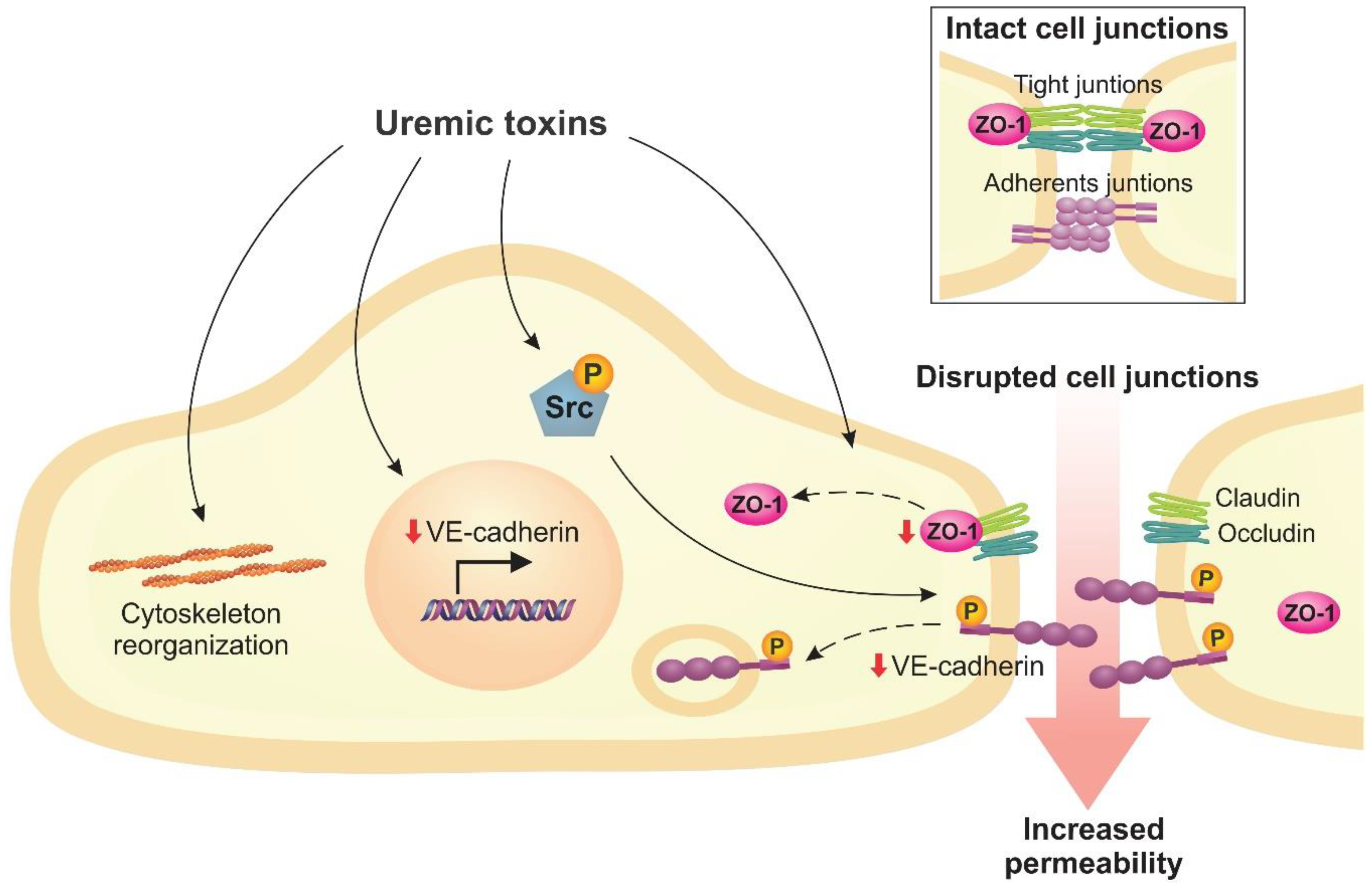 Toxins 12 00412 g002