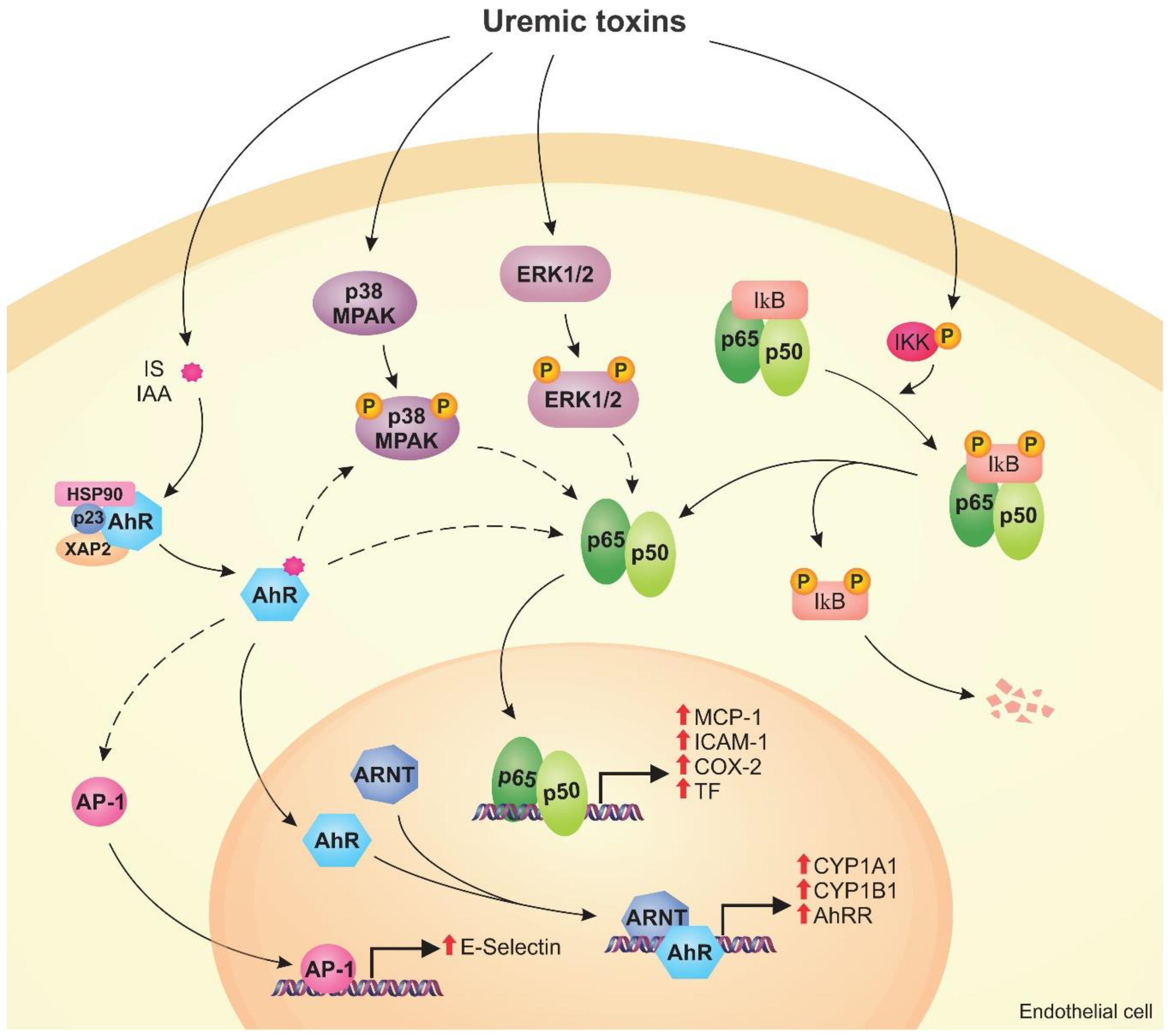 Toxins 12 00412 g003