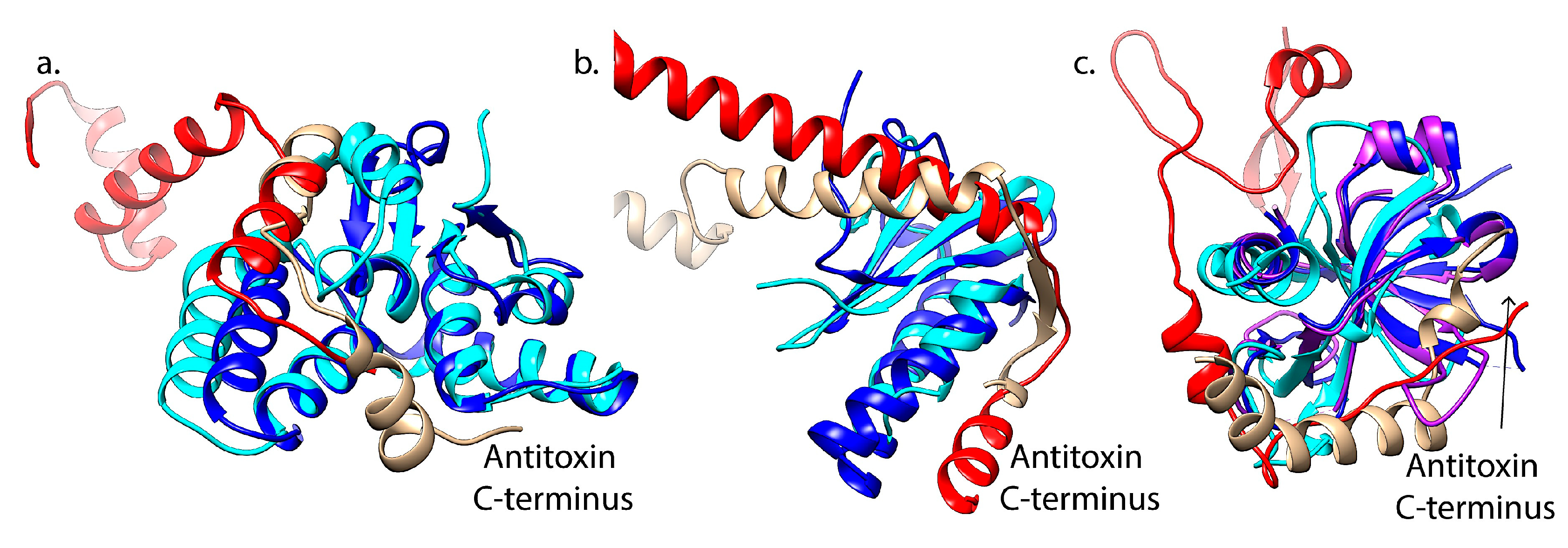 Toxins 12 00422 g003