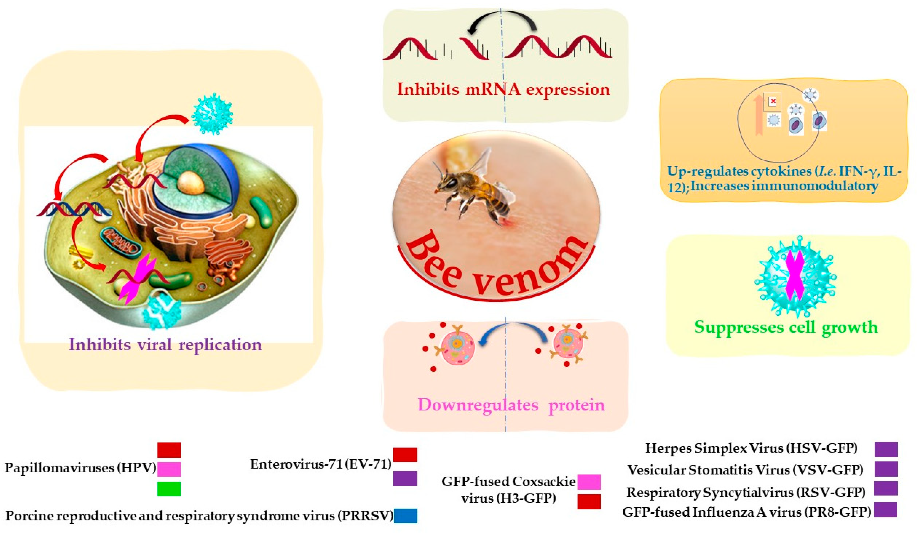 Toxins 12 00451 g002