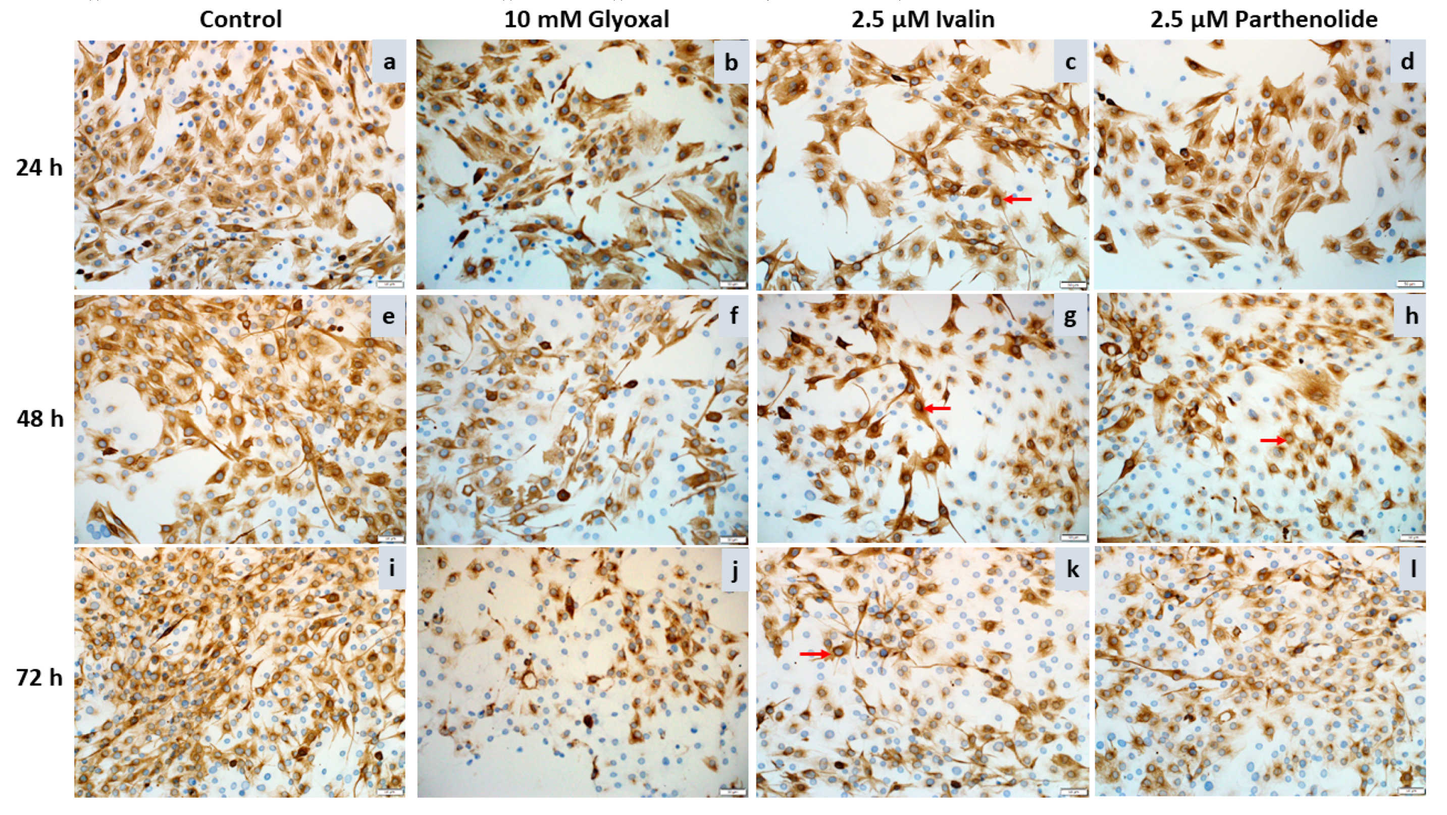 Toxins 12 00459 g004