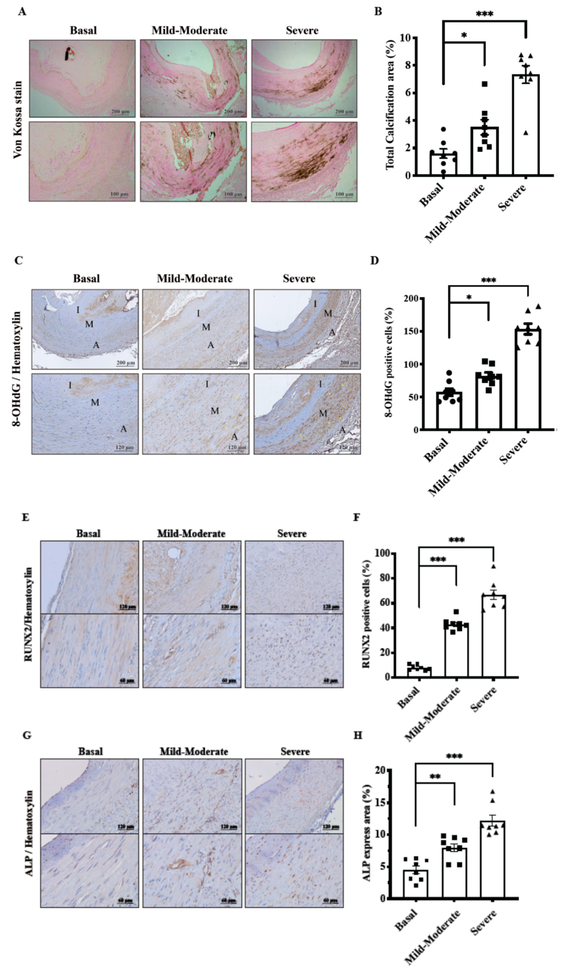 Toxins 12 00472 g001