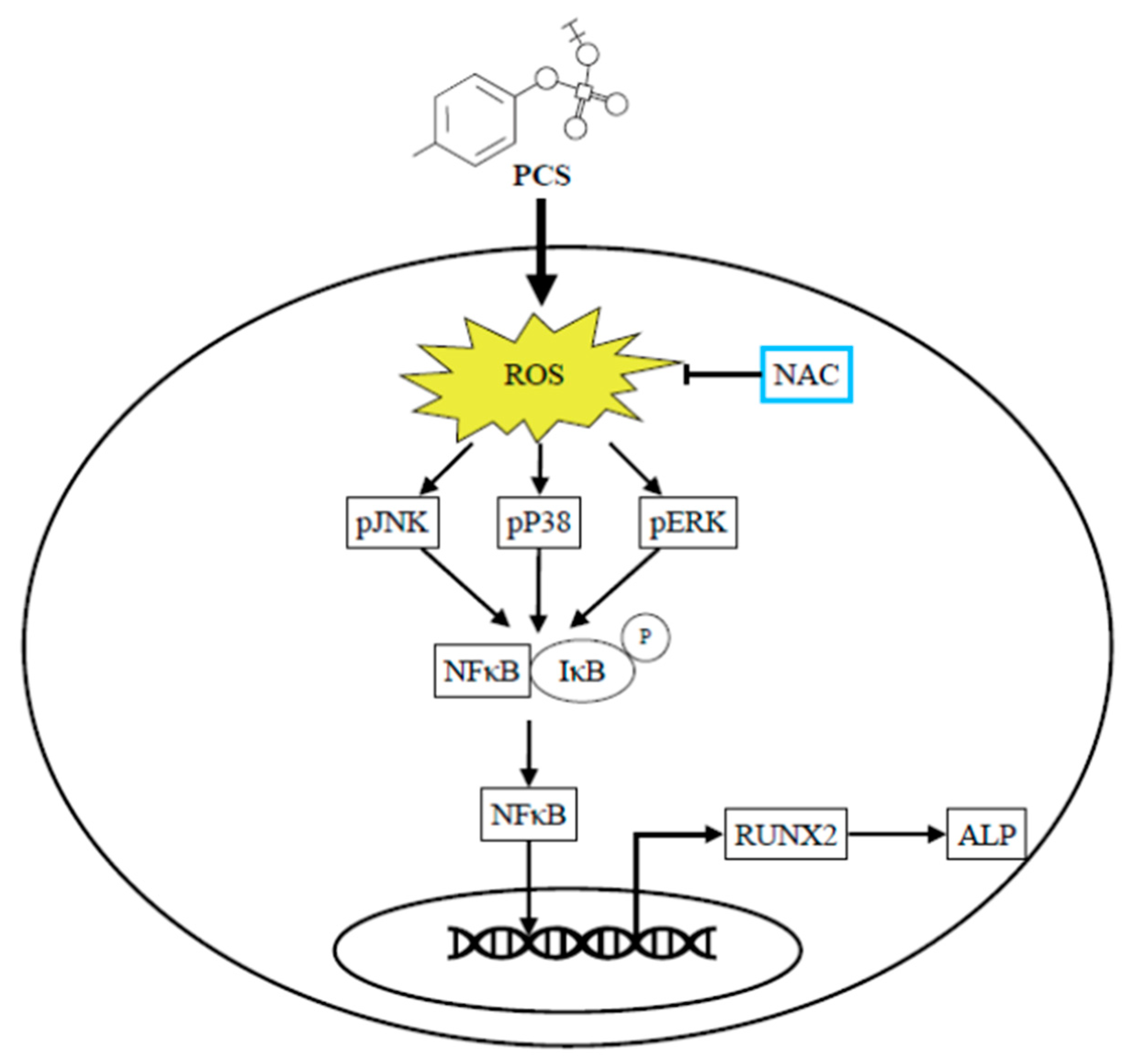 Toxins 12 00472 g006