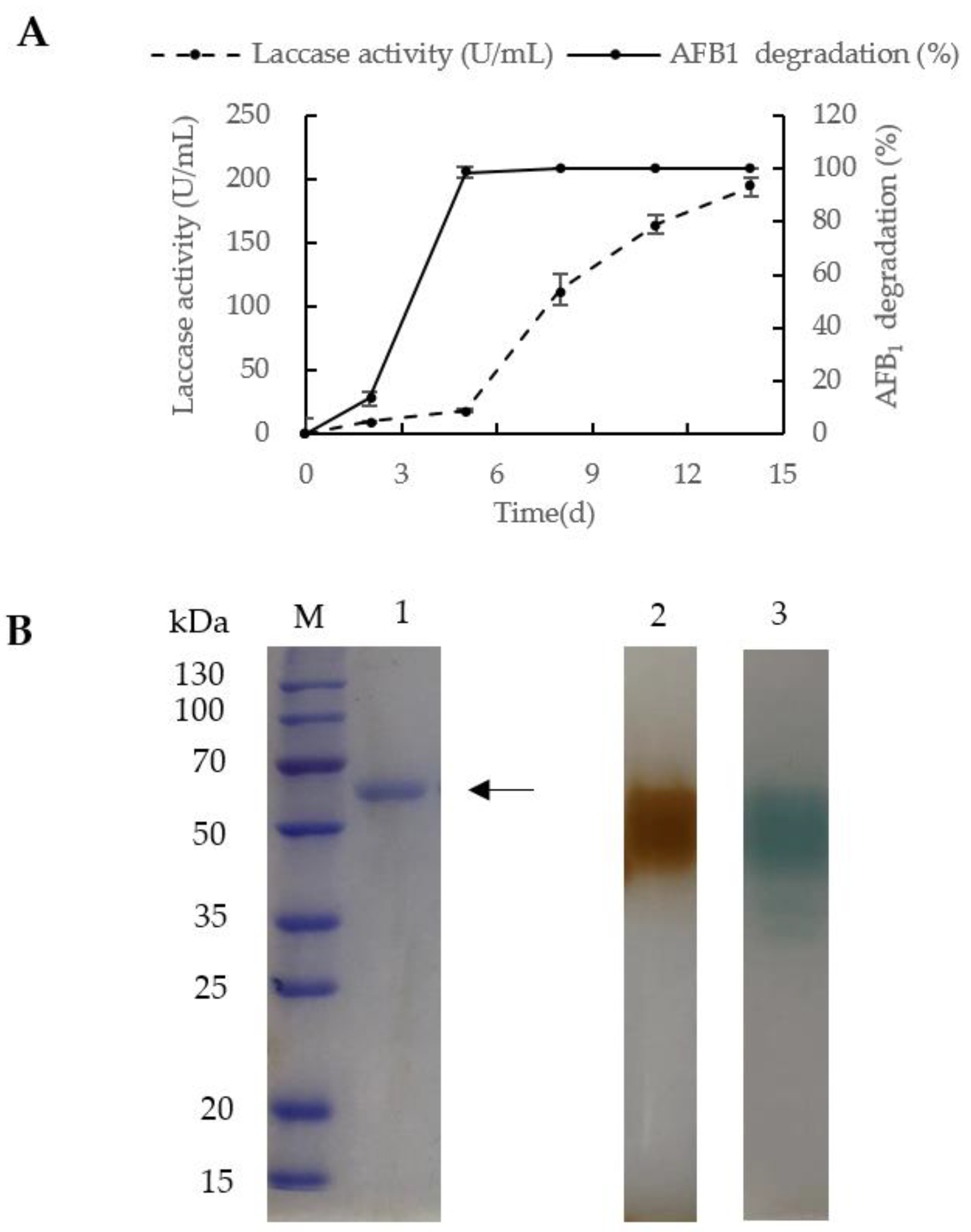 Toxins 12 00476 g002