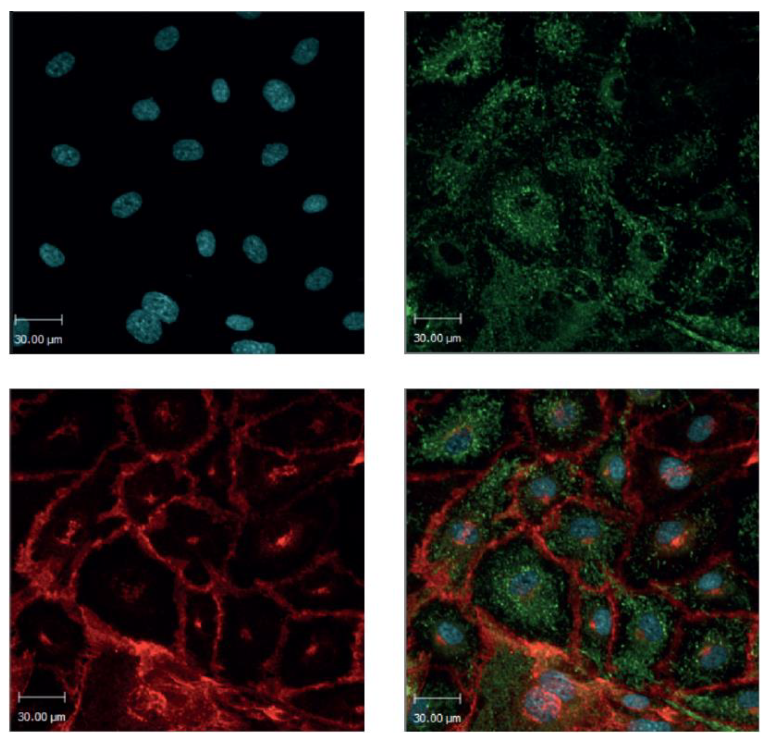 Toxins 12 00483 g001 Toxins 12 00483 g001