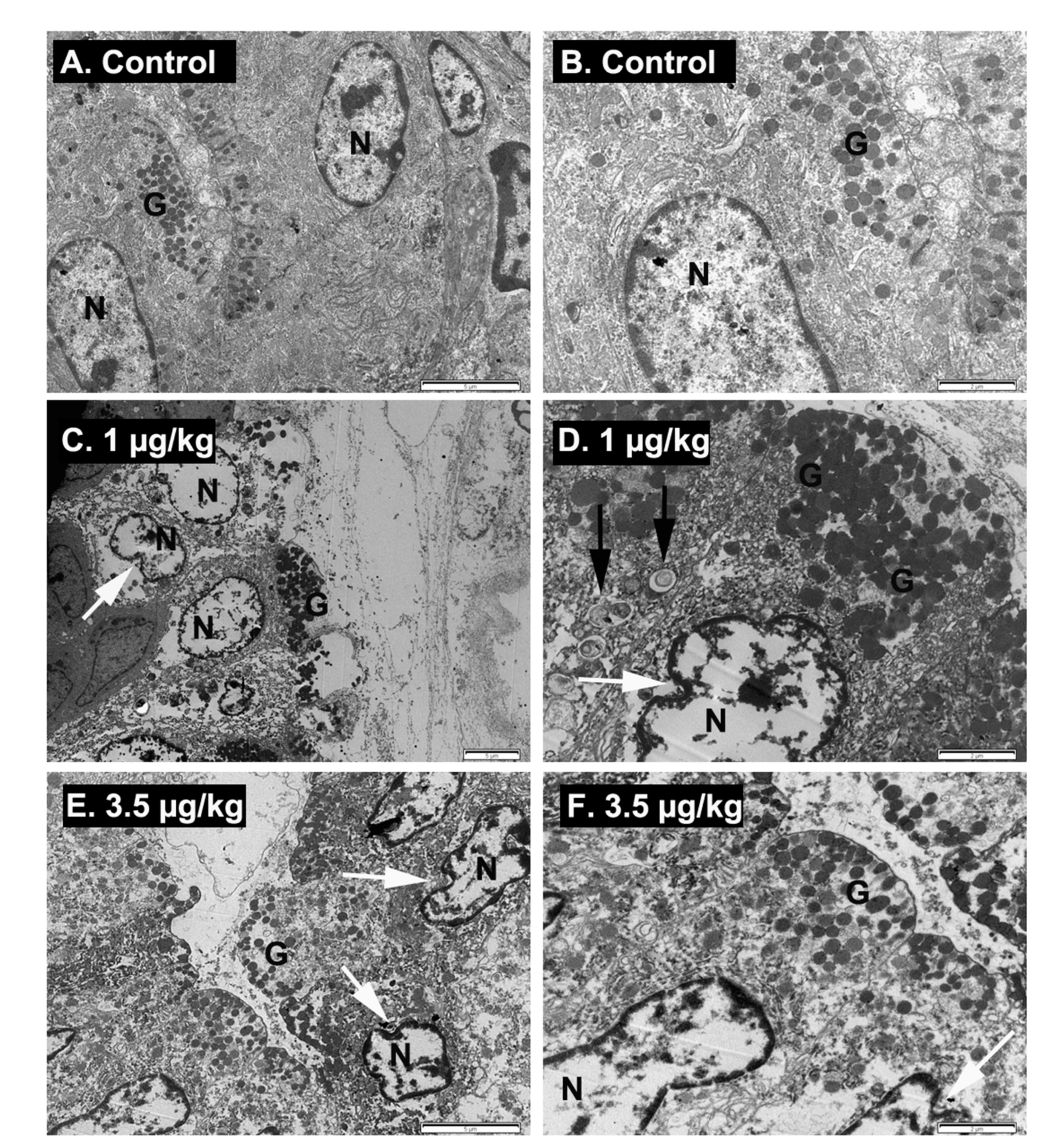 Toxins 12 00489 g005 Toxins 12 00489 g005