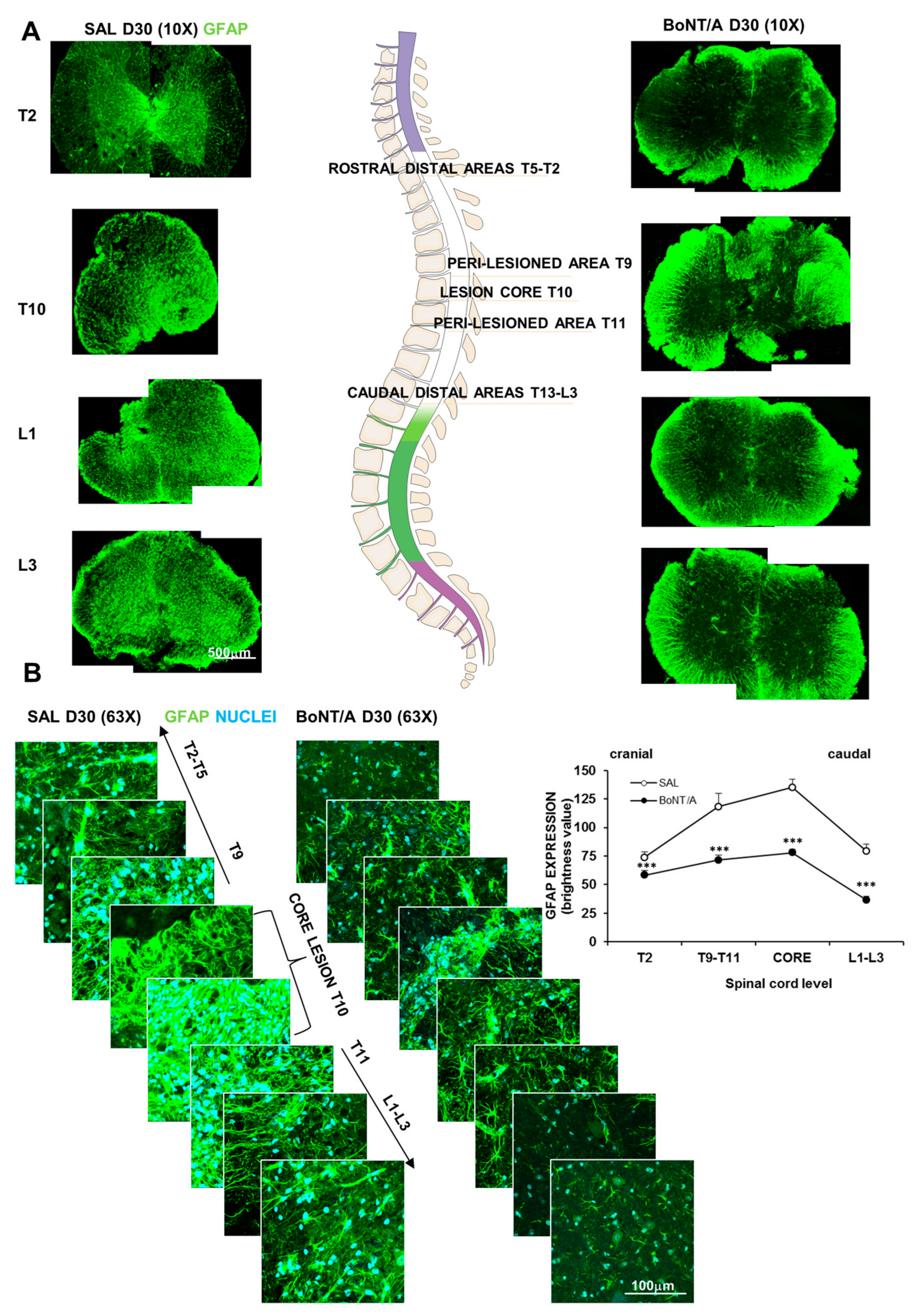 Toxins 12 00491 g003