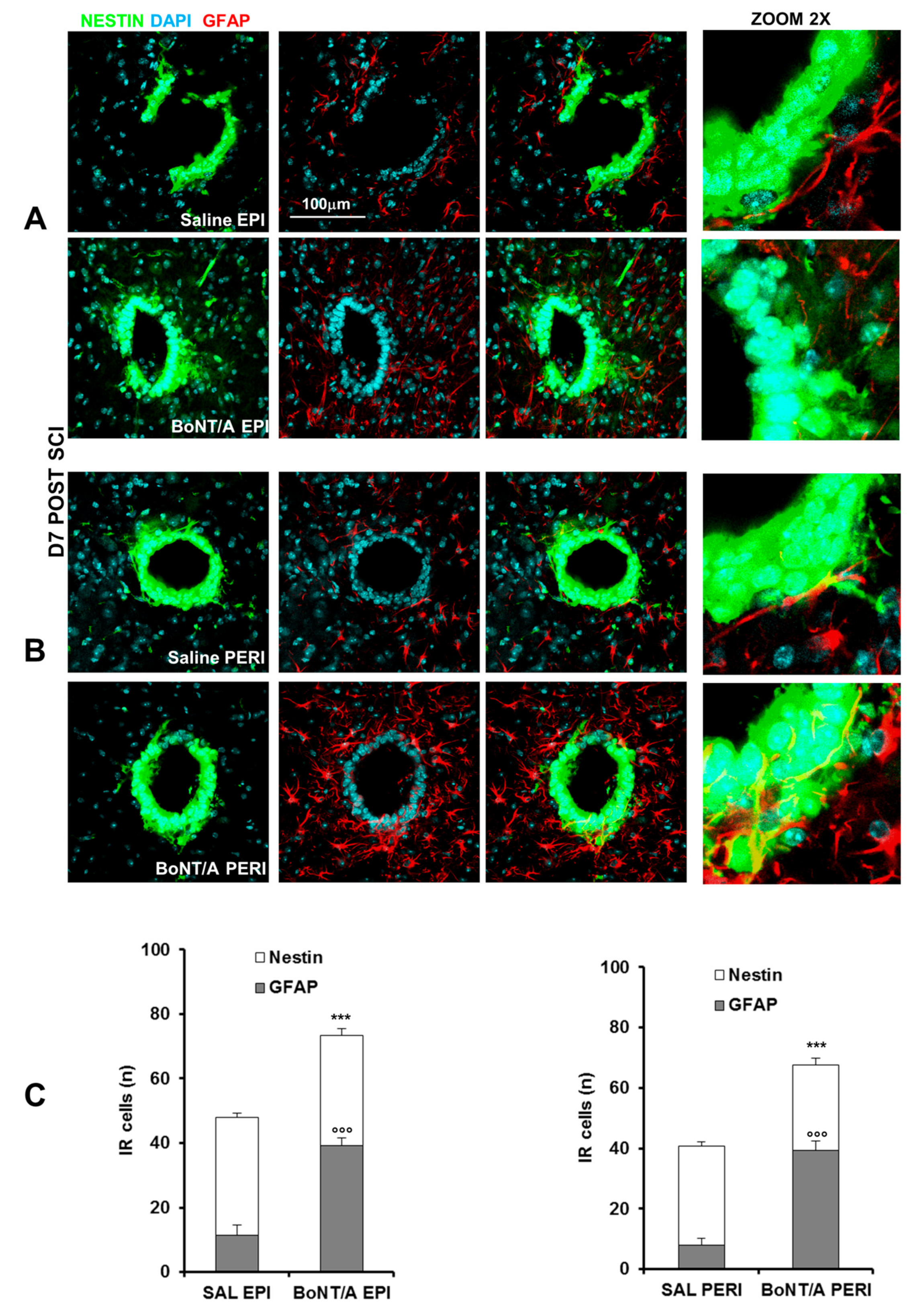Toxins 12 00491 g007