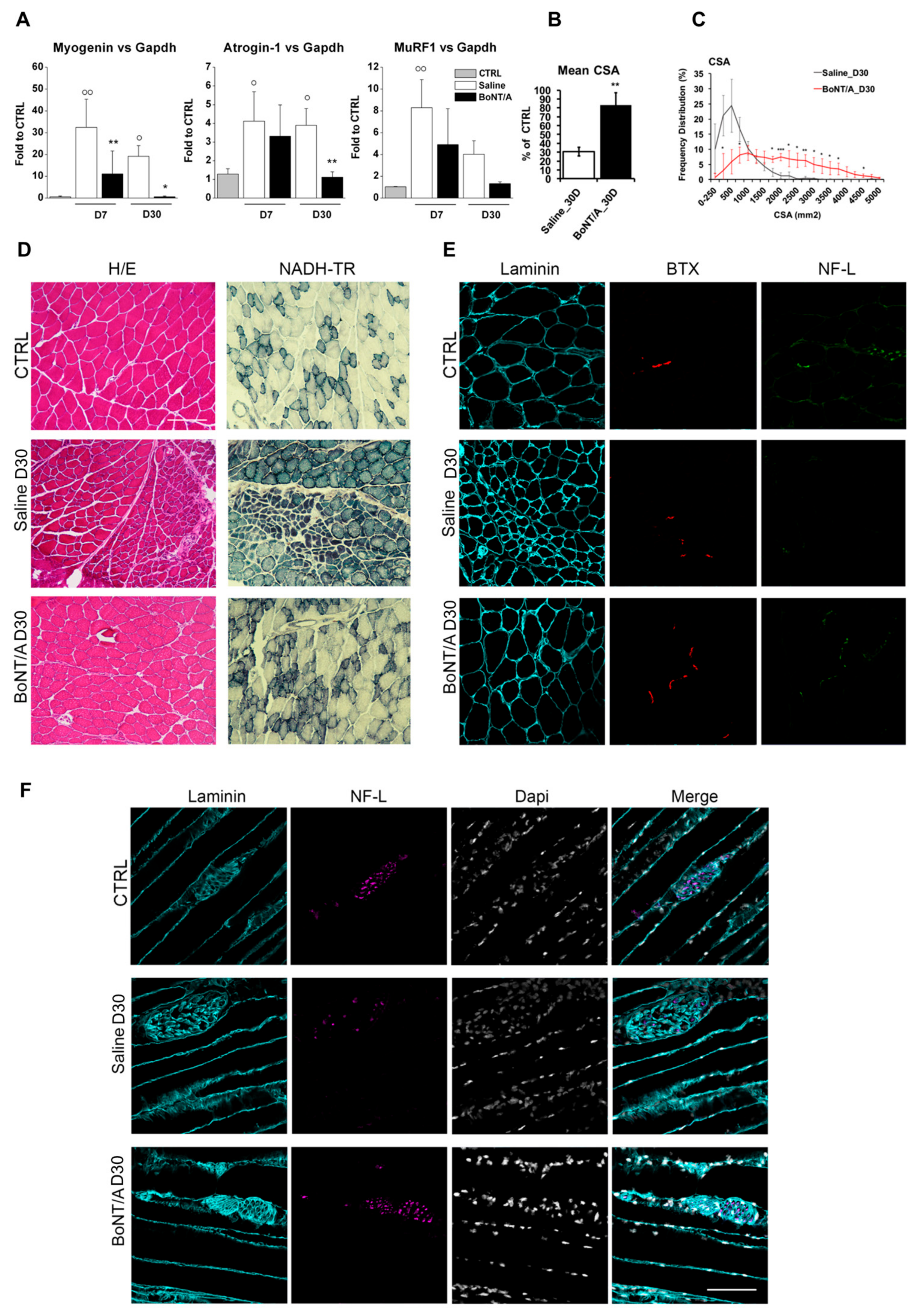 Toxins 12 00491 g009