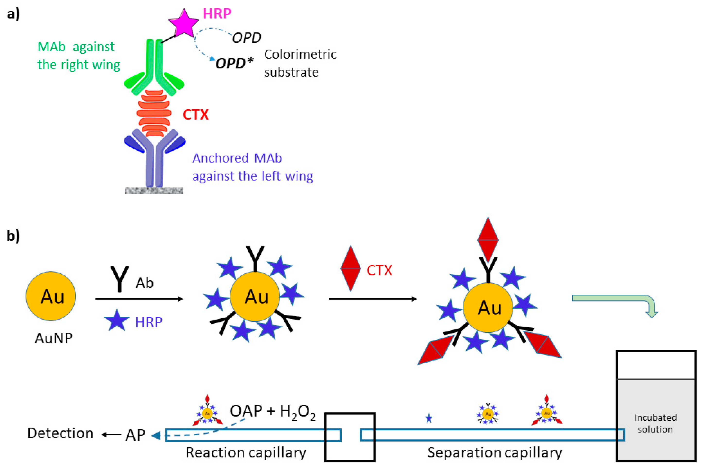 Toxins 12 00494 g008 Toxins 12 00494 g008