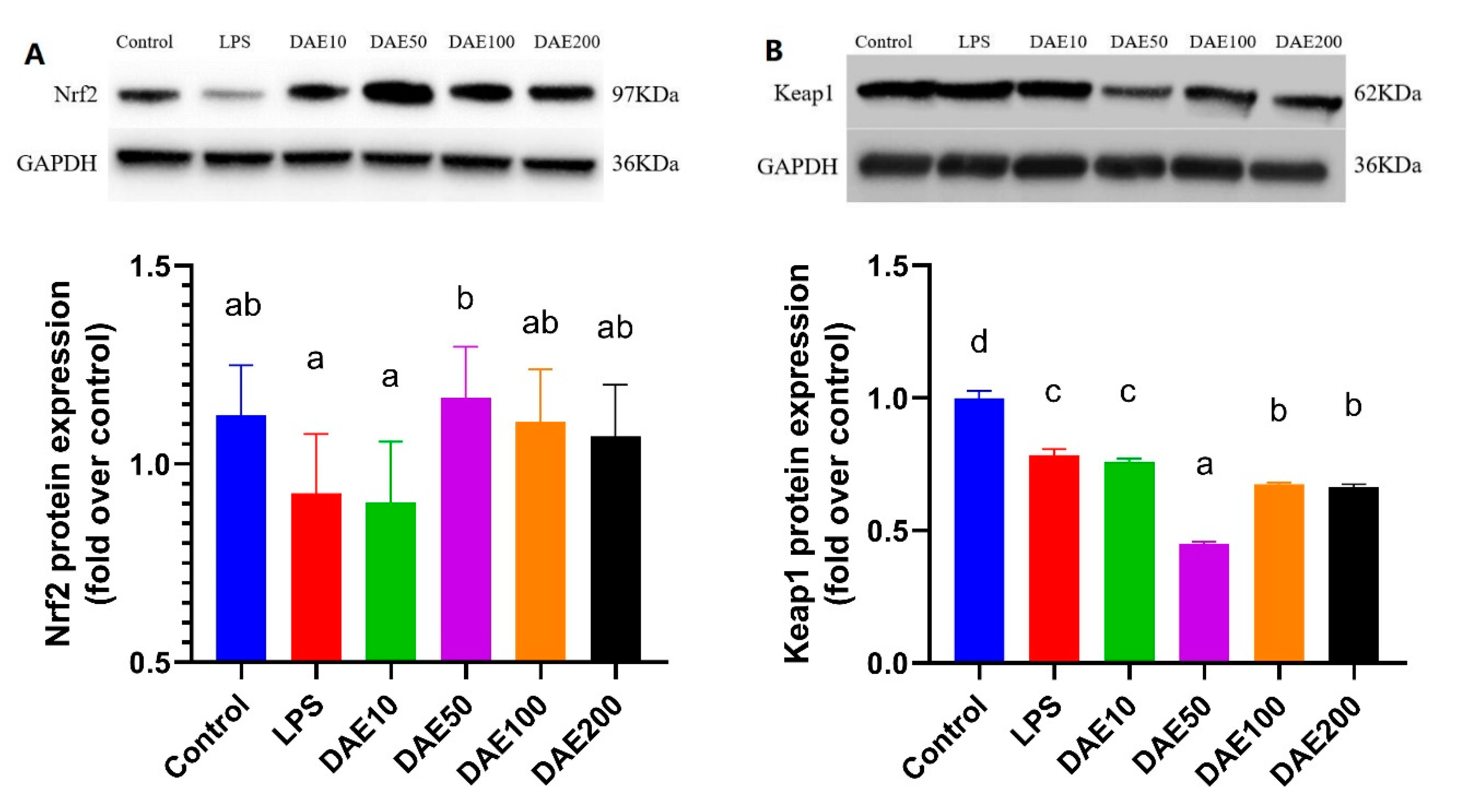 Toxins 12 00496 g004