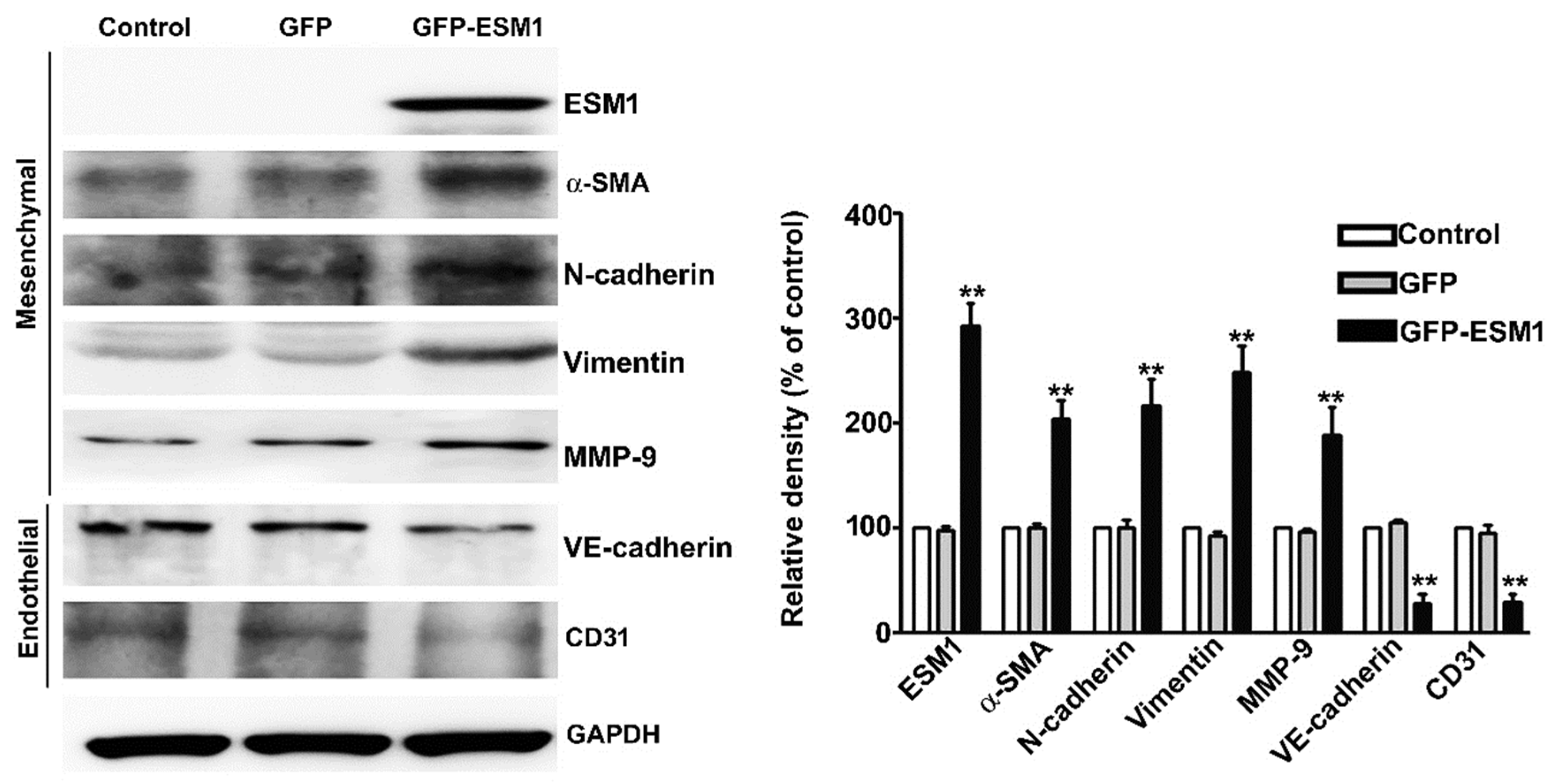 Toxins 12 00506 g005
