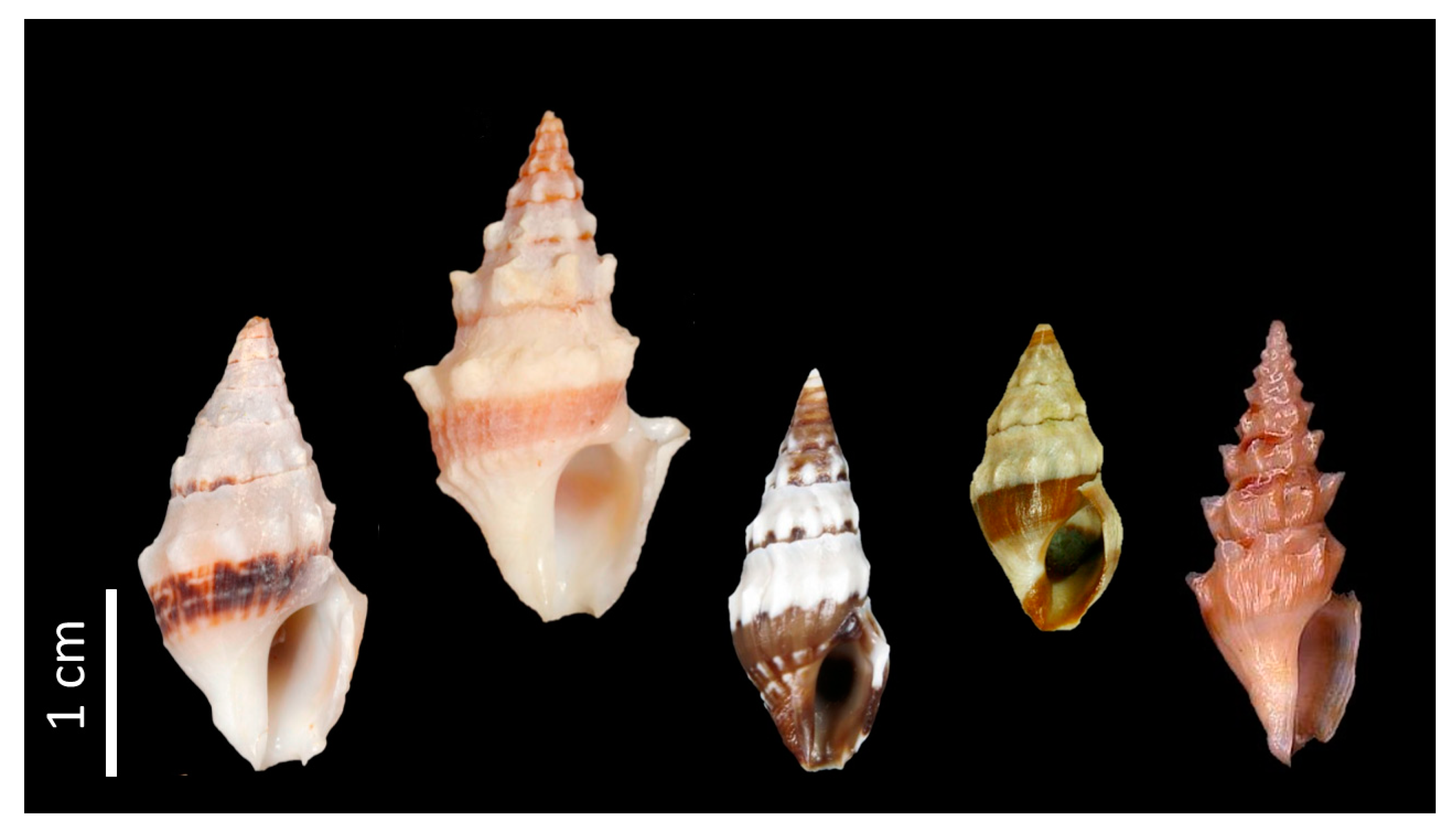 Toxins 12 00508 g001 Toxins 12 00508 g001