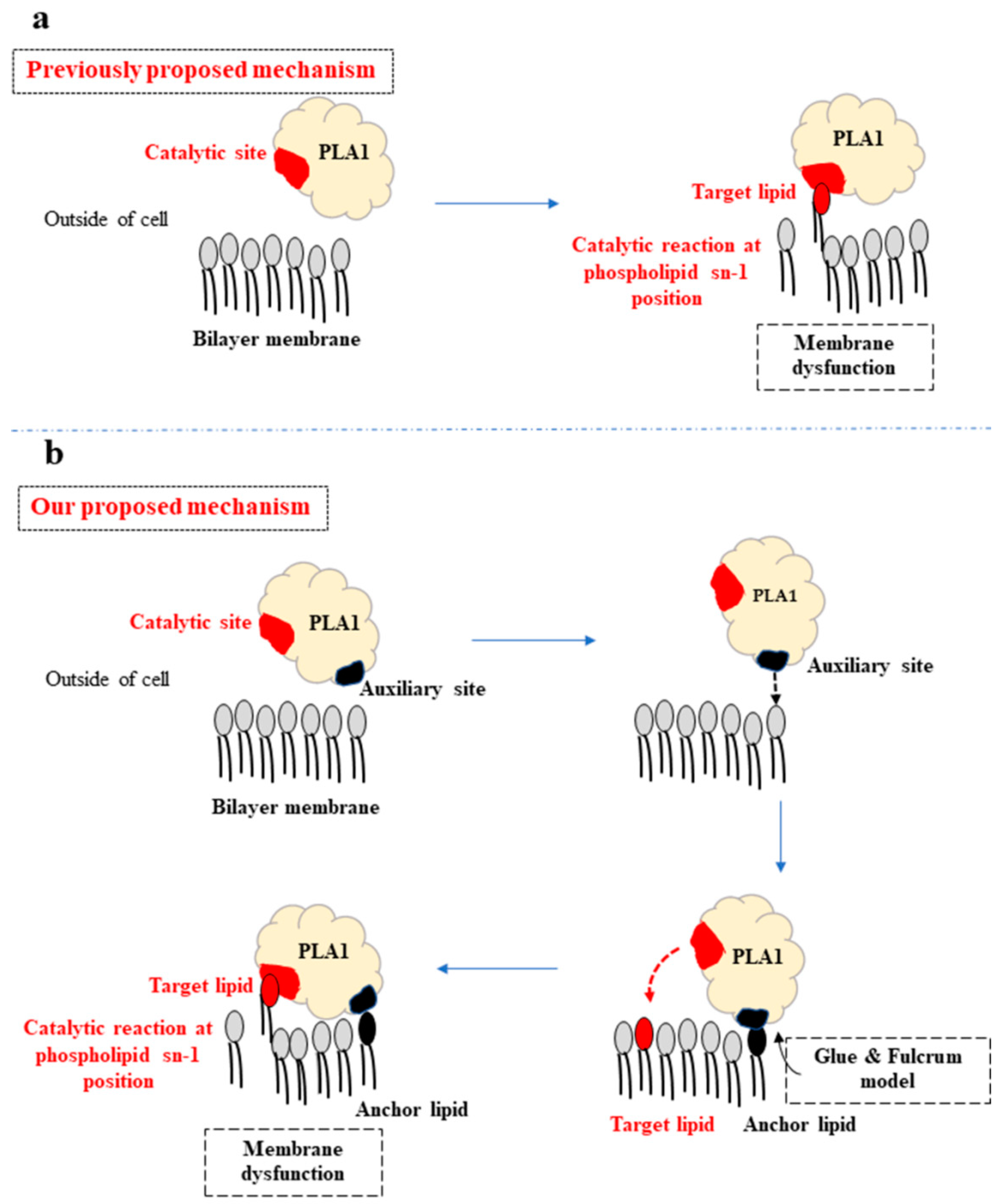 Toxins 12 00510 g009 Toxins 12 00510 g009
