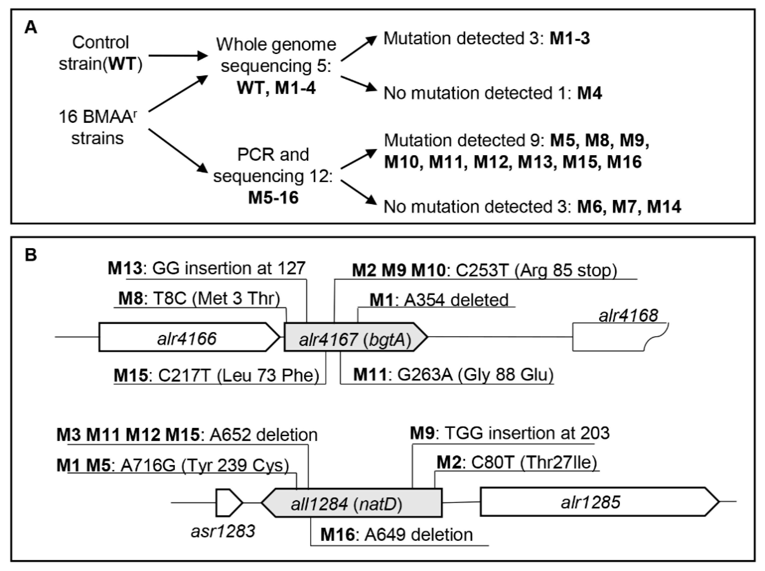 Toxins 12 00518 g003 Toxins 12 00518 g003