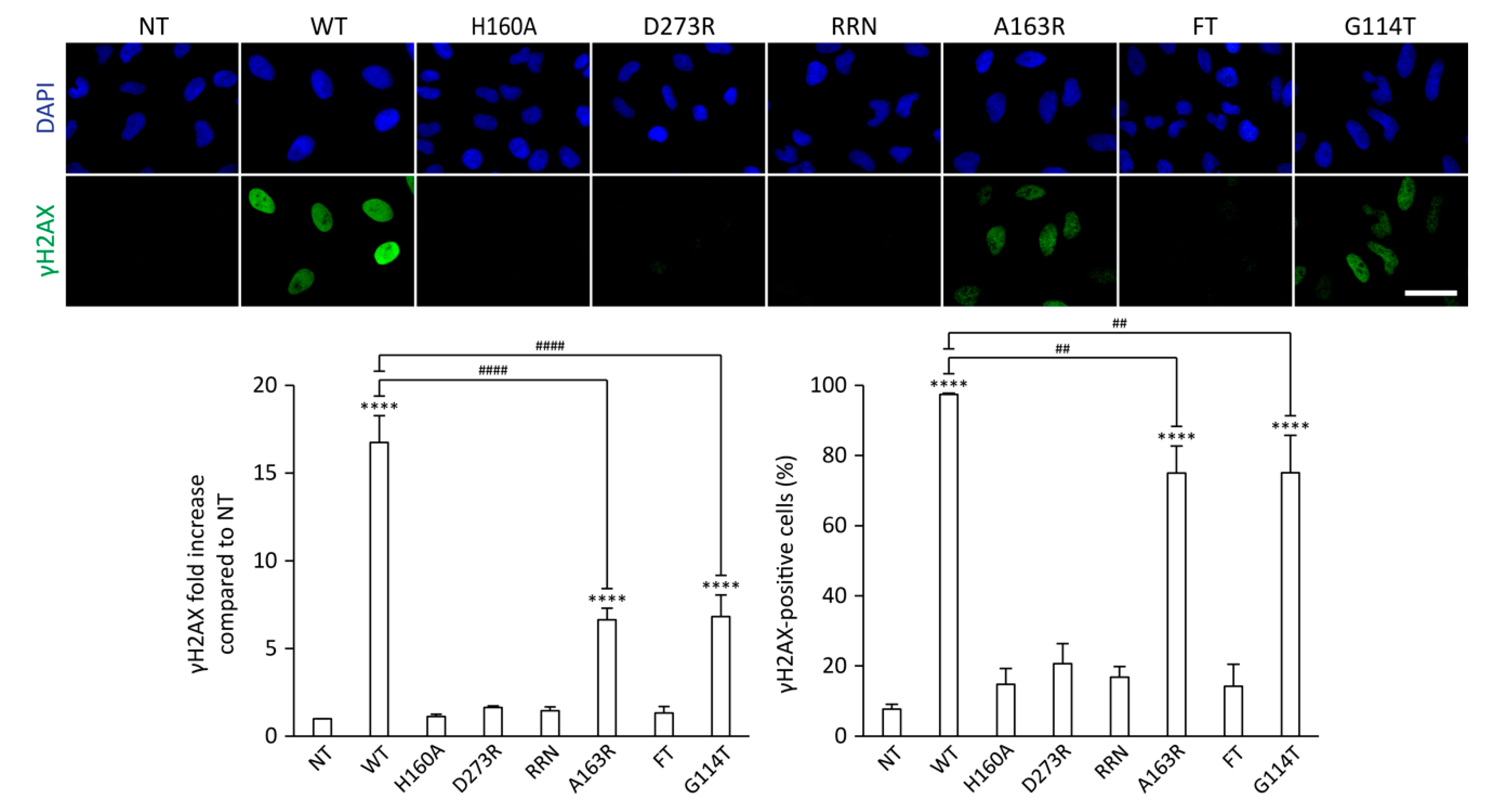 Toxins 12 00530 g004 Toxins 12 00530 g004