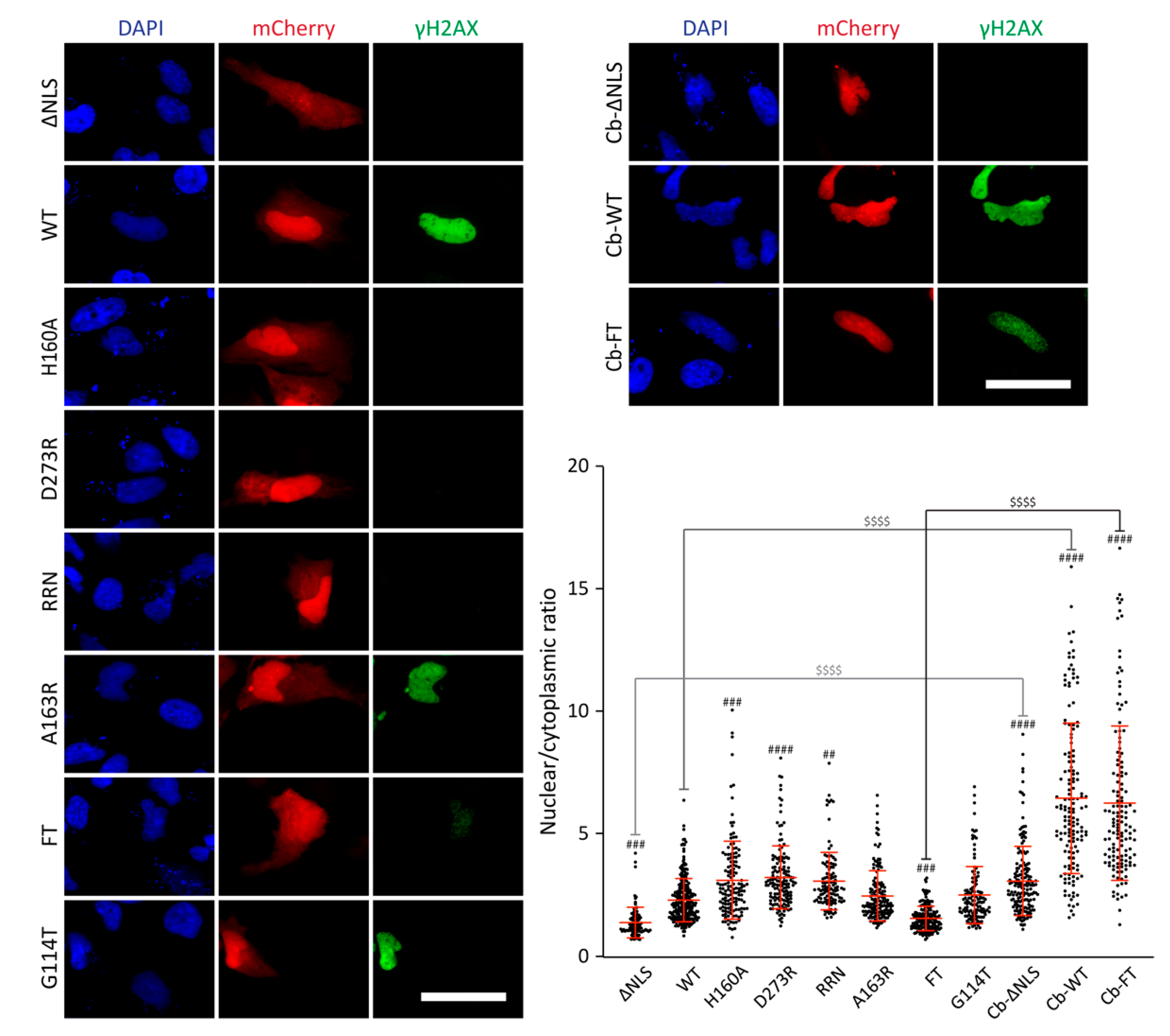 Toxins 12 00530 g006 Toxins 12 00530 g006