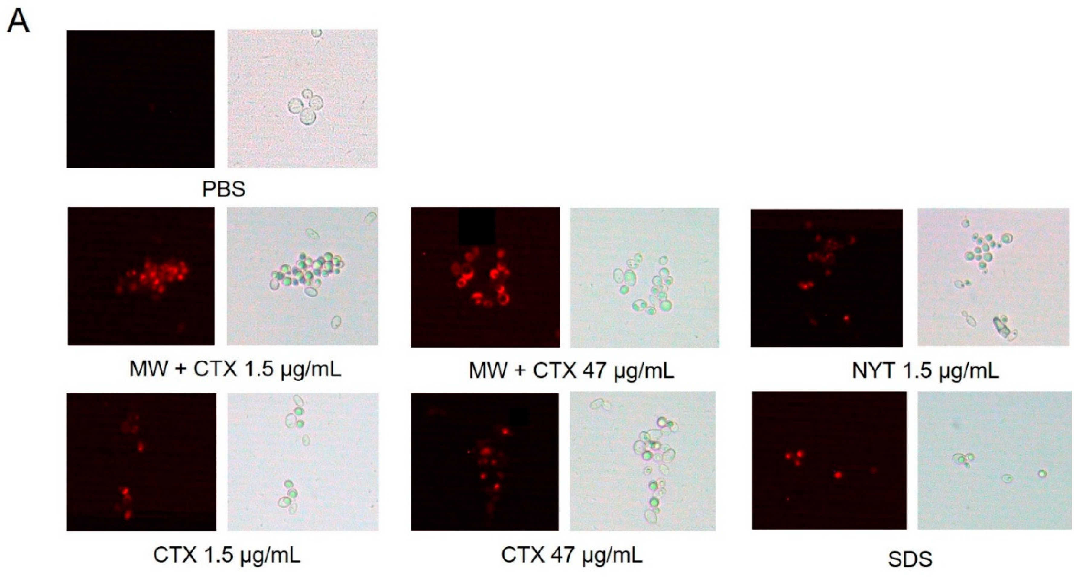 Toxins 12 00532 g005a Toxins 12 00532 g005a