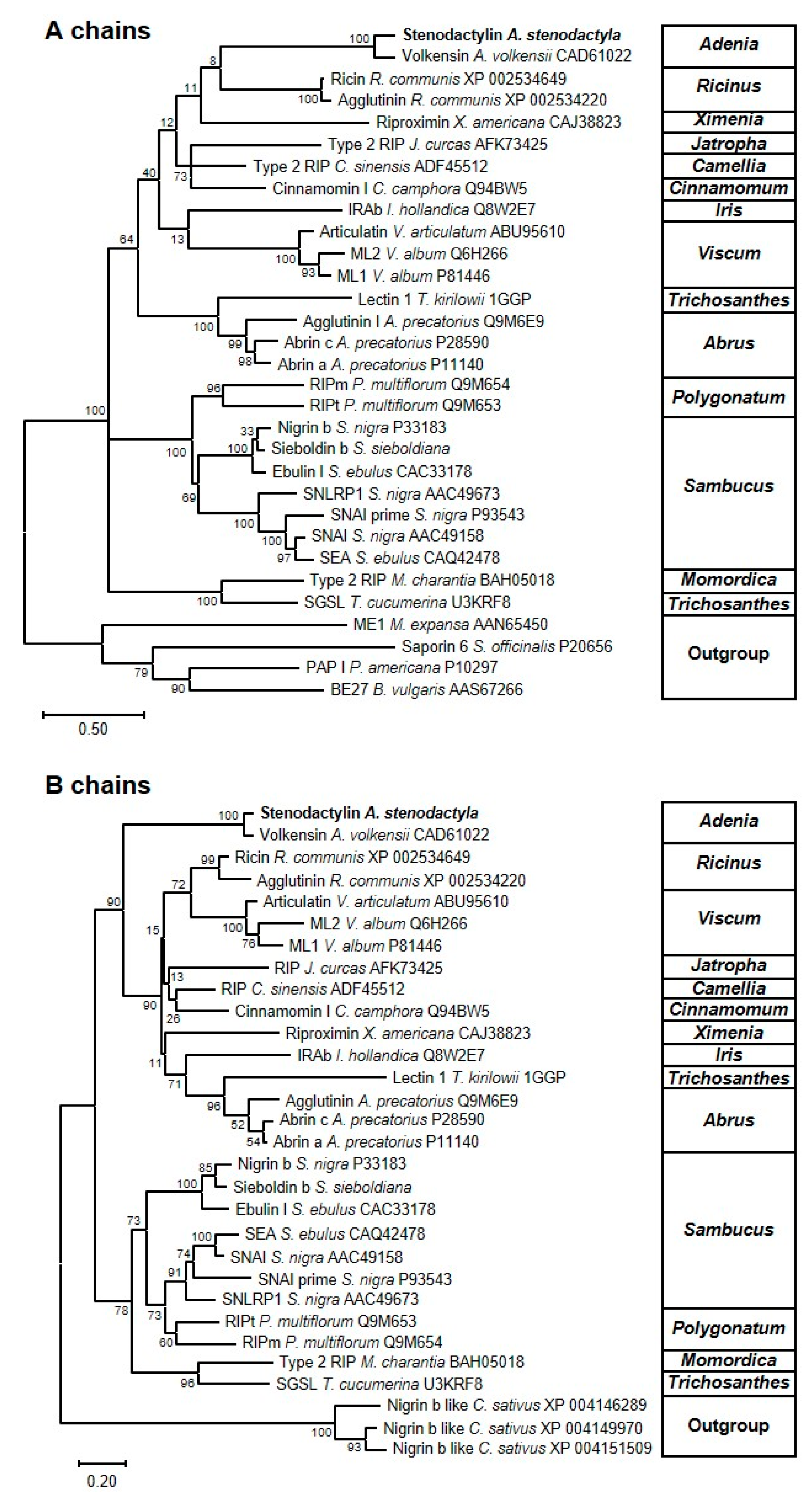 Toxins 12 00538 g008 Toxins 12 00538 g008